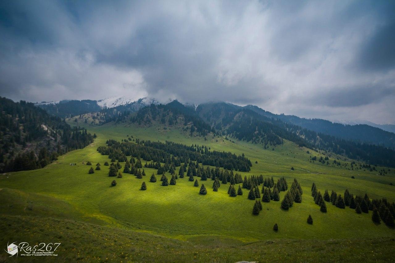 Almaty: Moderate hiking to Kok Zhailau 2