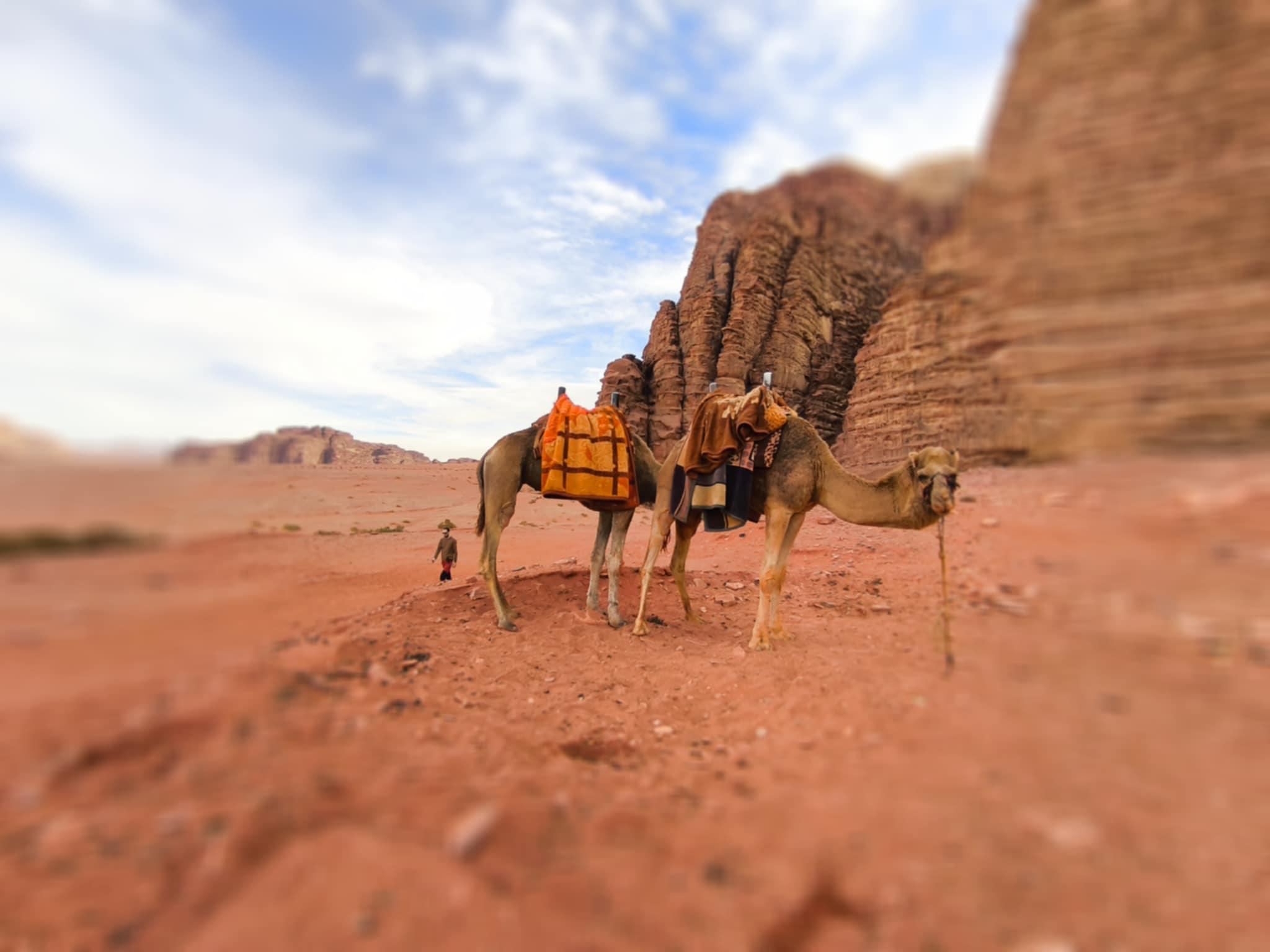 Wadi Rum: Camel Ride with tea and Bedouin Guide 3