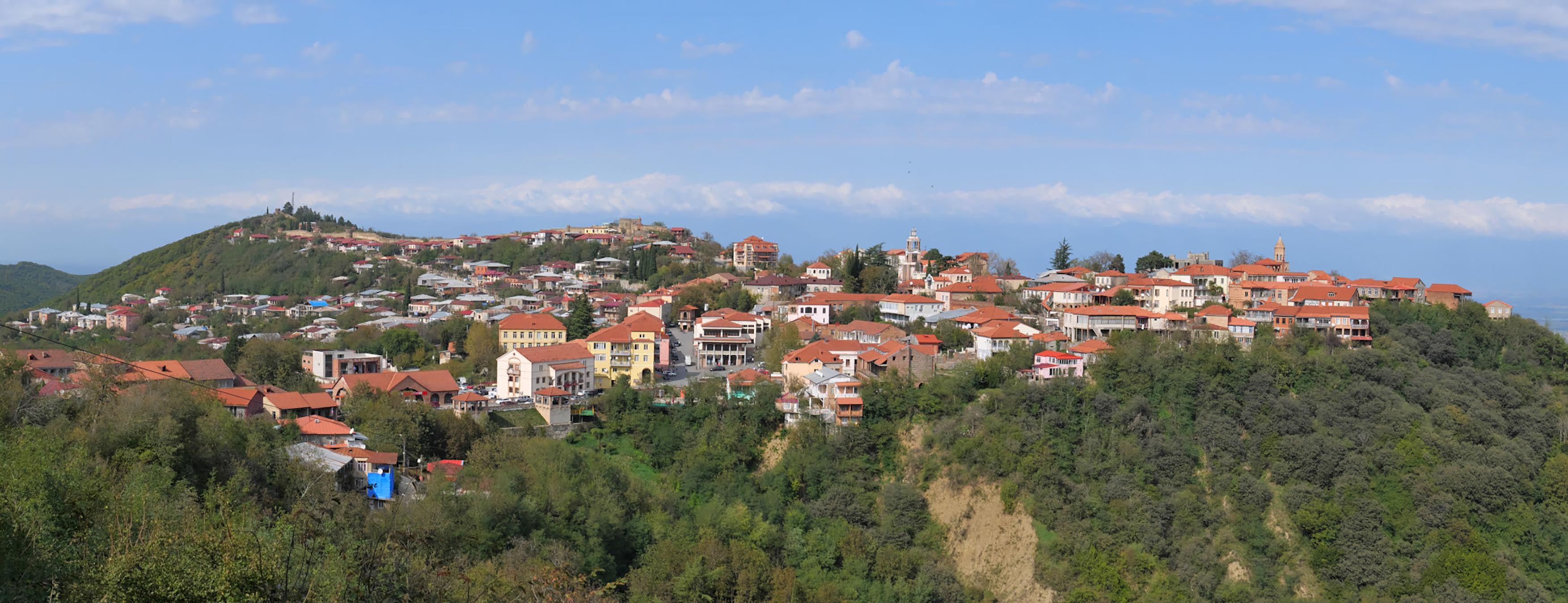 Kakheti, Signagi & Bodbe: Private Tour with Wine Tasting 2