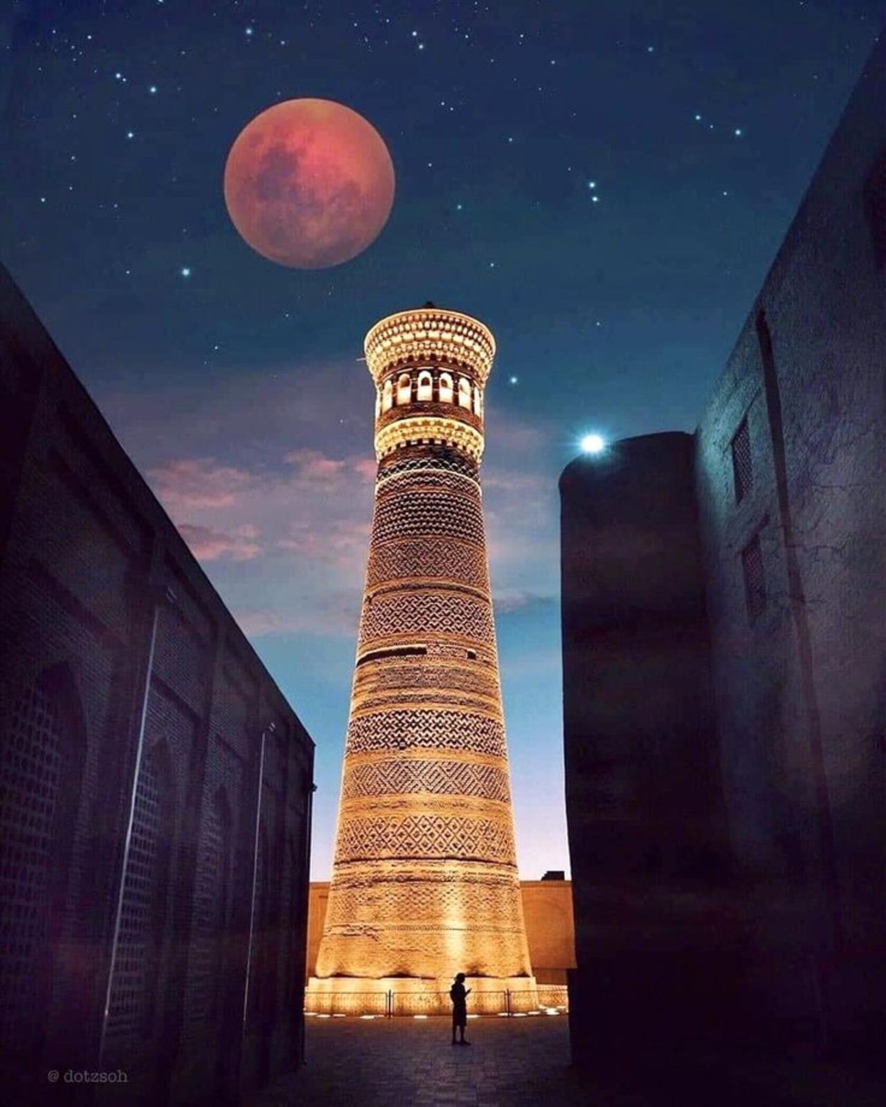 Bukhara Classics at Sunset: A Guided Tour for First-Timers 2