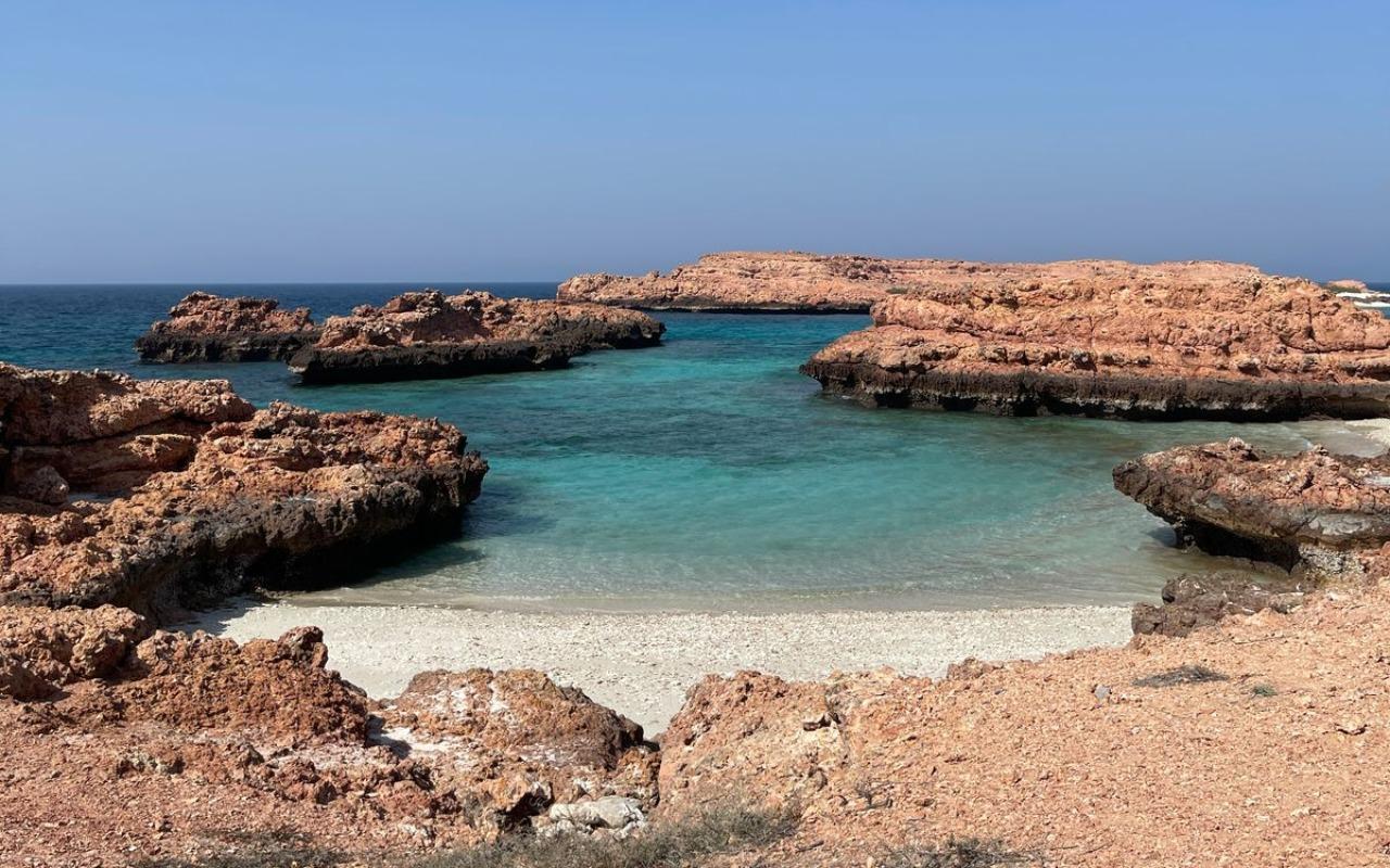 Muscat: Snorkeling Day Trip and Wahiba Sands Desert Sunset 2