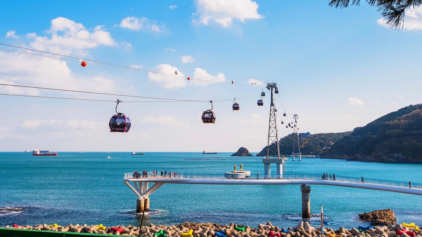 Busan: Guided K-Drama Day Tour with Pet Cafe & Magnate 3