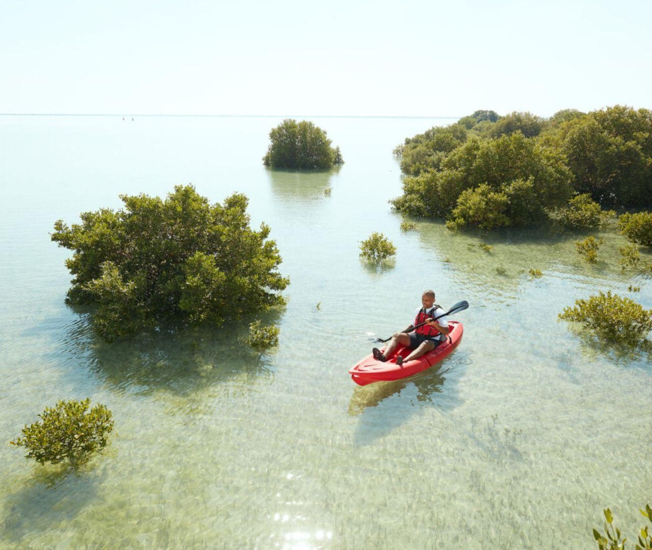 North Qatar: Guided Tour of Mangrove Forest With Kayaking 2