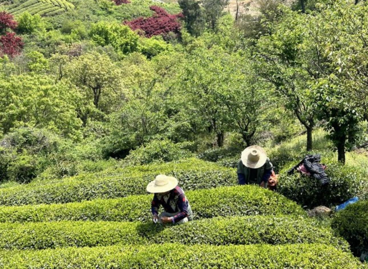 Shanghai: Baishuichong Waterfall & Yang E Trail Hike