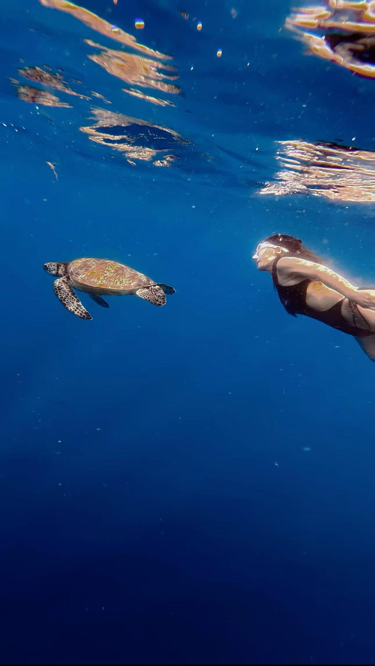Bohol: Balicasag & Virgin Island Hopping & Snorkeling Tour 2