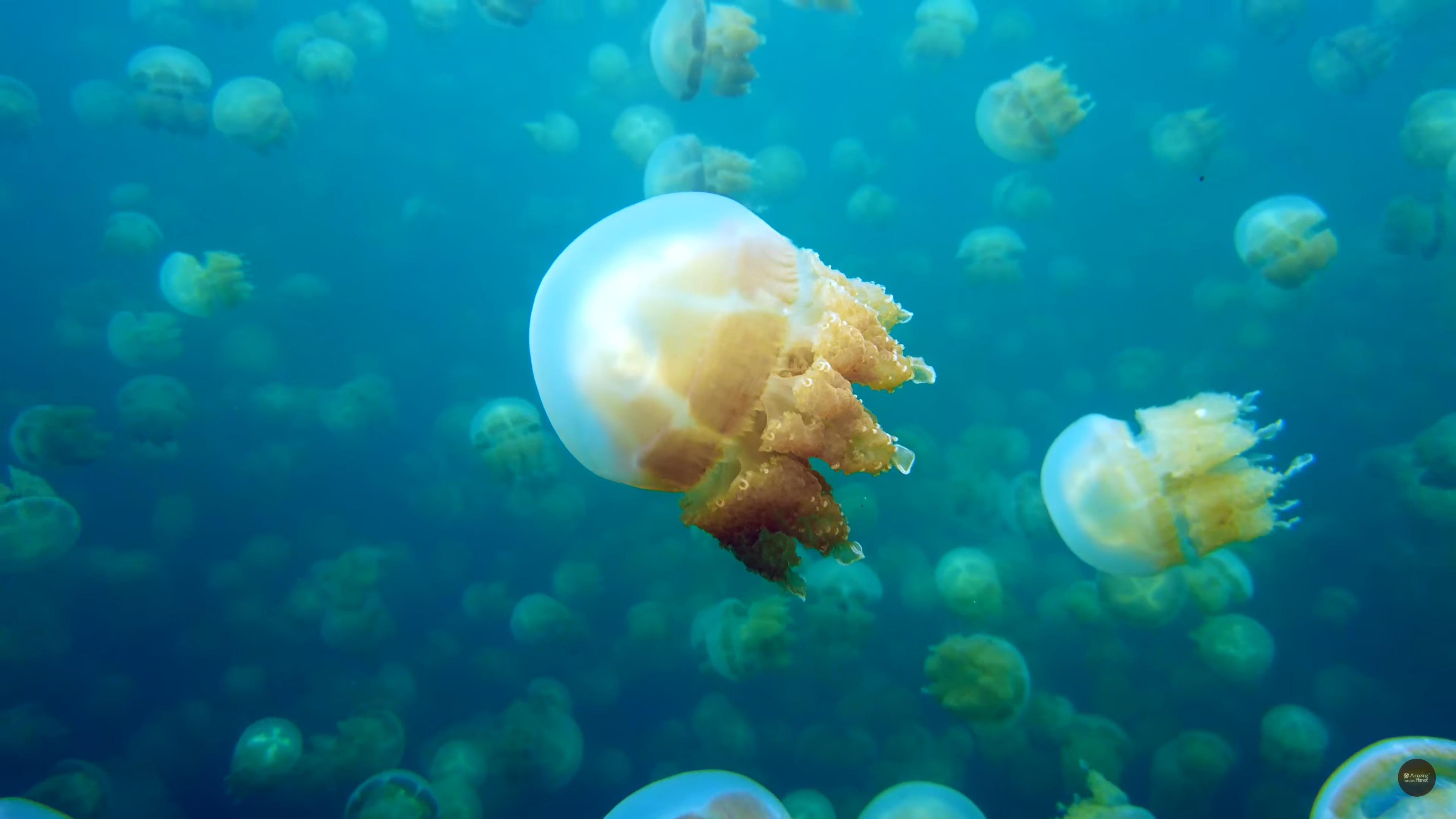 Siargao: Sohoton Cove Day Tour with Lunch (Shared Tour) 3