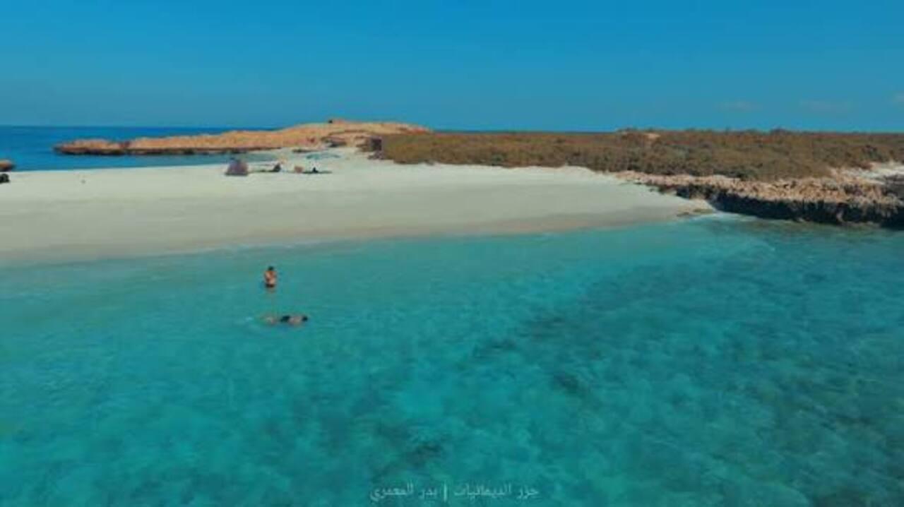 From Muscat: Daymaniyat Islands Coral-Reef Scuba Diving Trip 2