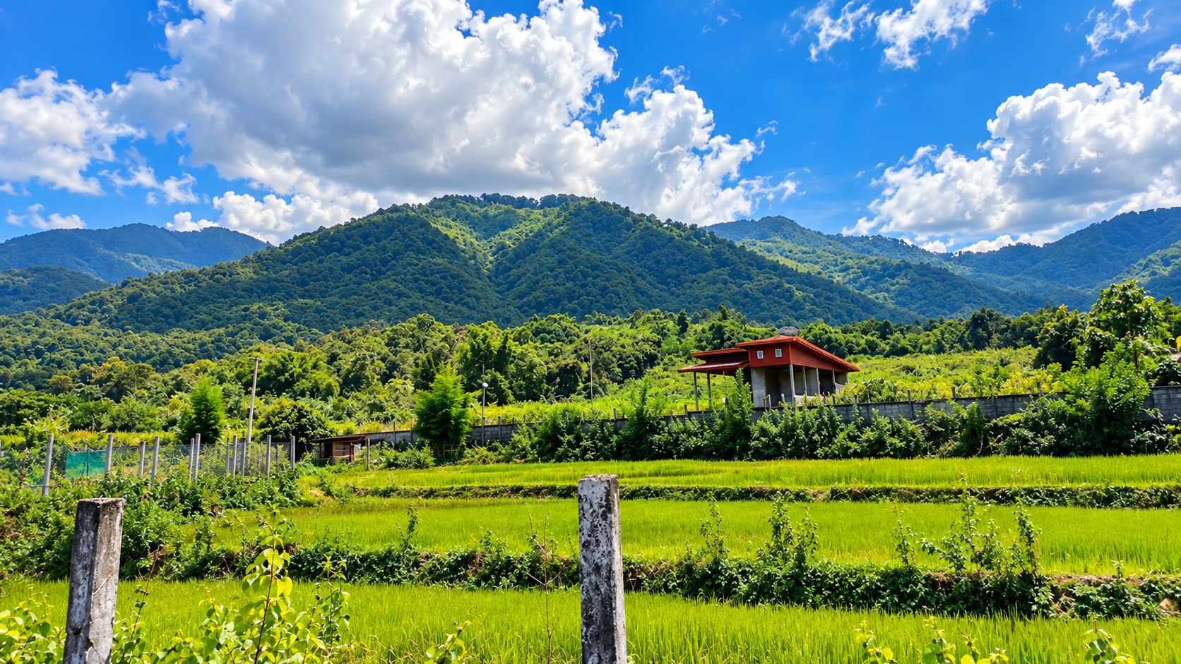 Na Duang Village Full-Day Cultural and Natural Experience 3