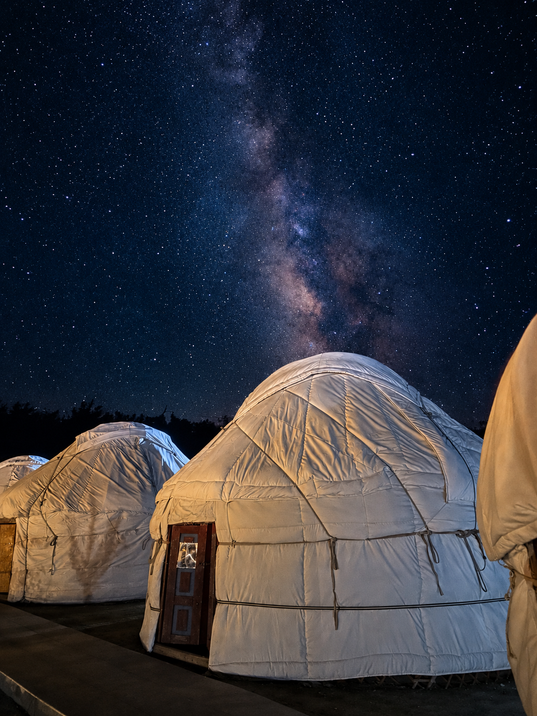 Bukhara~Samarkand: 2-Day Aydarkul Lake, Yurt Camp & Camel Safari