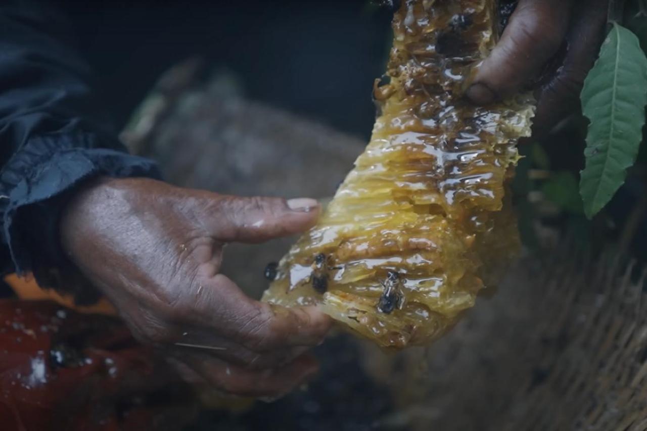 Nepal: 4-Day Mad Honey Hunting Tour with Gurung Hunters 2