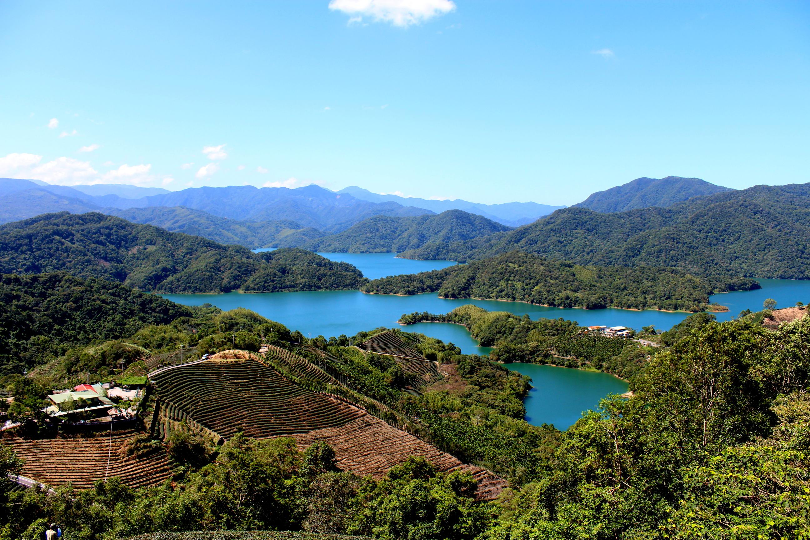 From Taipei: Private Maokong Gondola & Tea Culture Day Tour