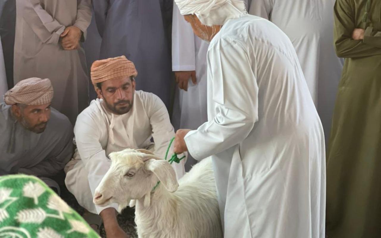 Friday Cattle Market, Nizwa, Birkat Al Mouz & Jebel Akhdar 2