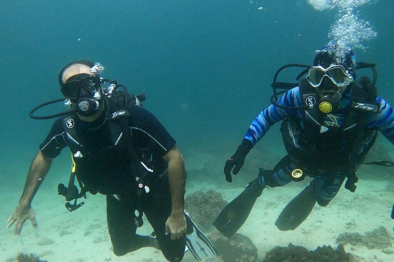 Muscat: Discovery under the water & Scuba Diving in Muscat 3