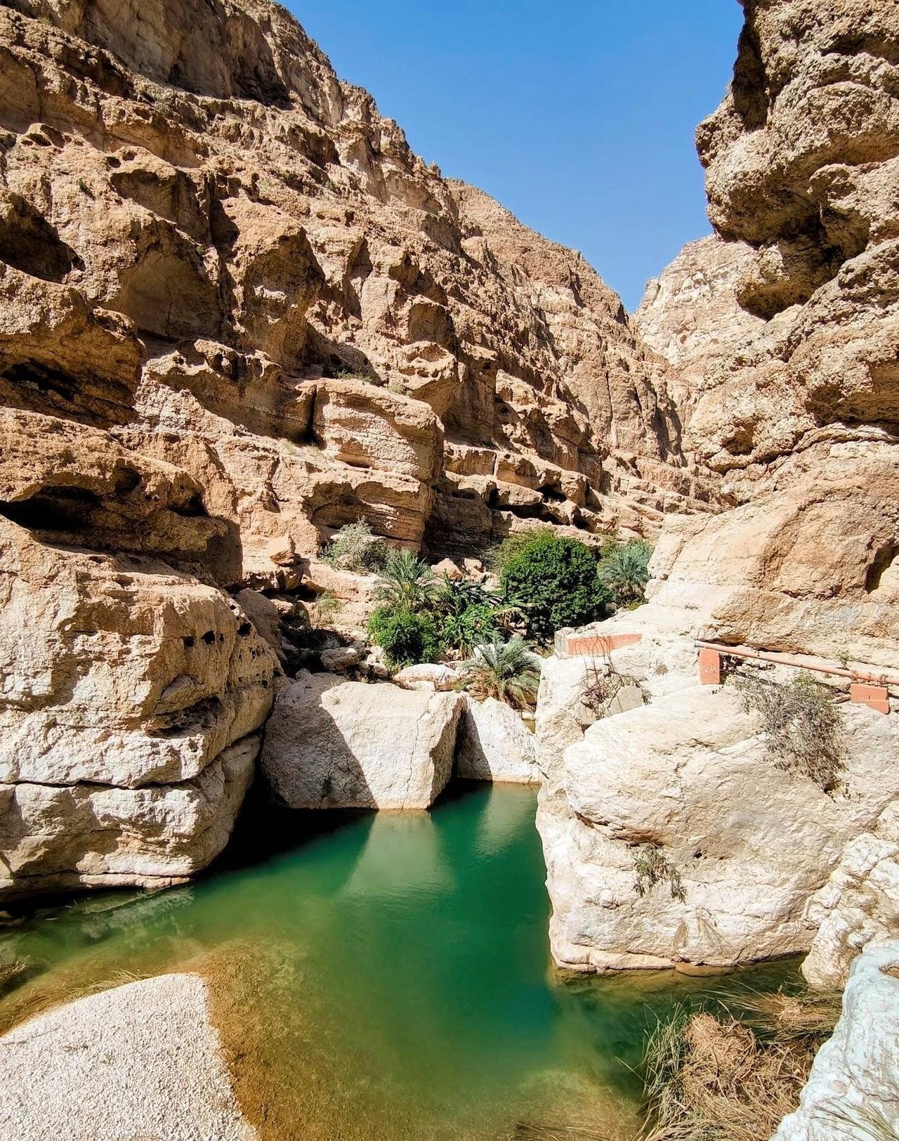 From Muscat: Private Wadi Shab & Bimmah Sinkhole Tour 3