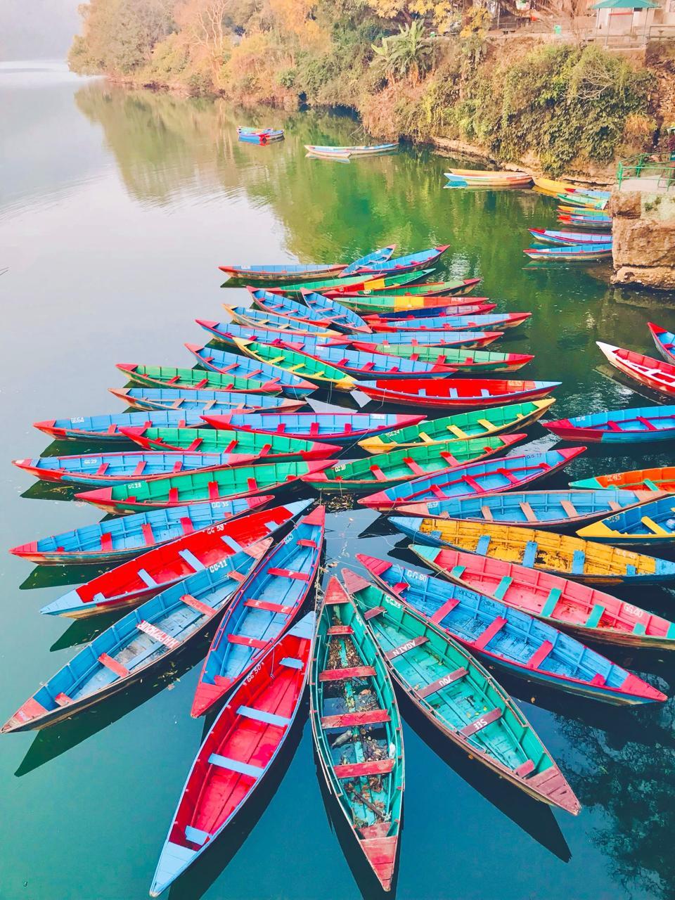 Pokhara Day Bus Sightseeing 8 points