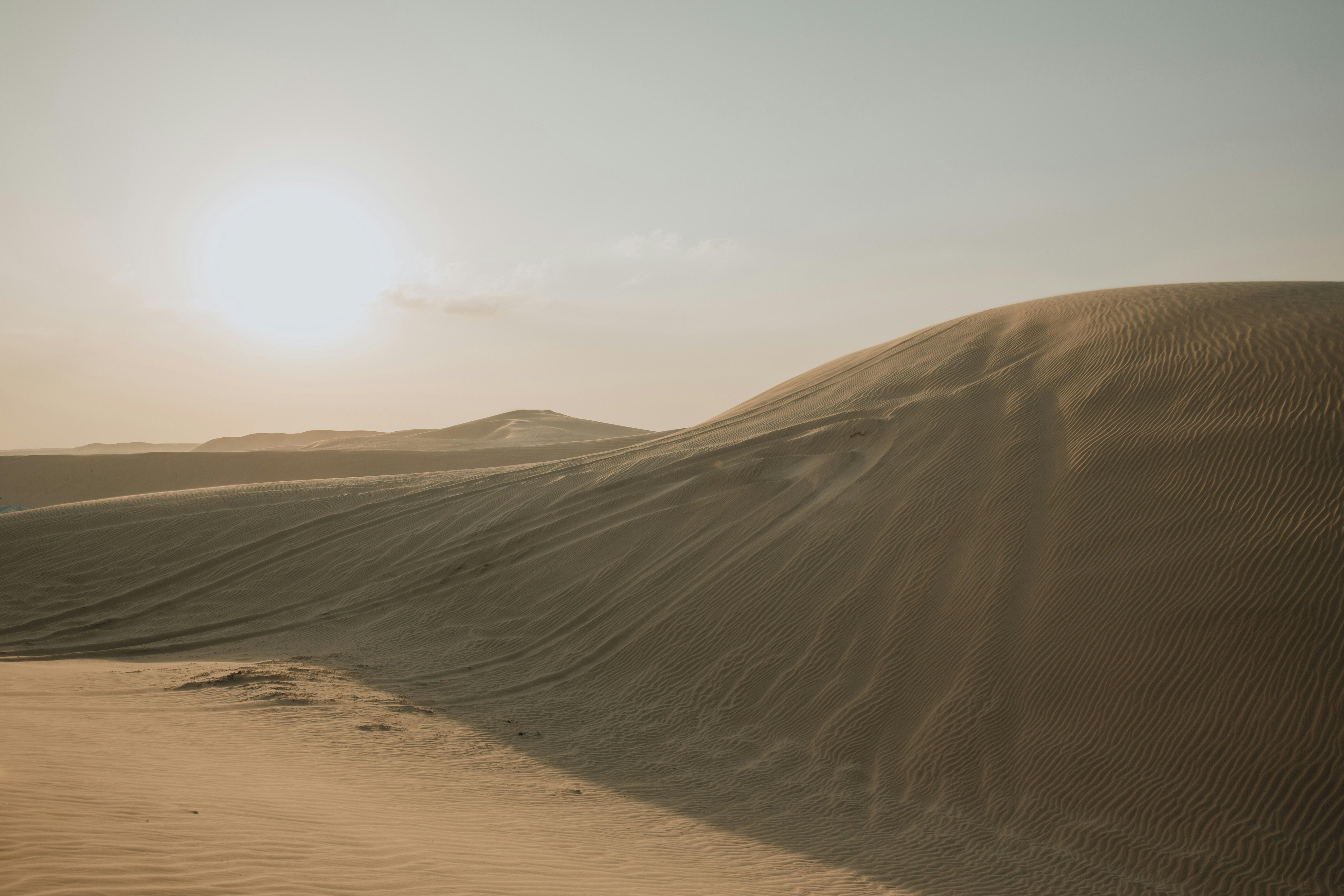 Doha: Full-Day Desert Safari with Lunch/Dinner, Camel Ride 2