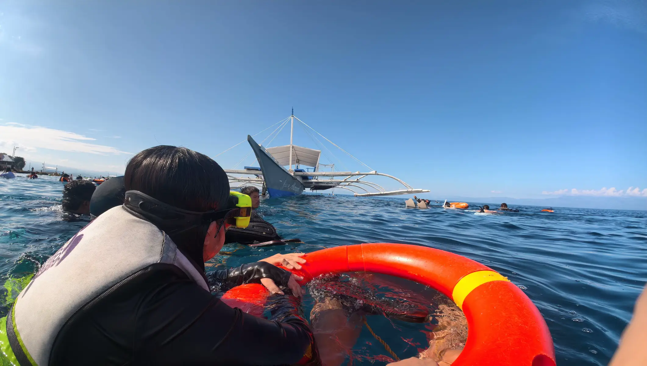 Moalboal Cebu: Snorkel Tour - Sardines Run & Turtle Watching