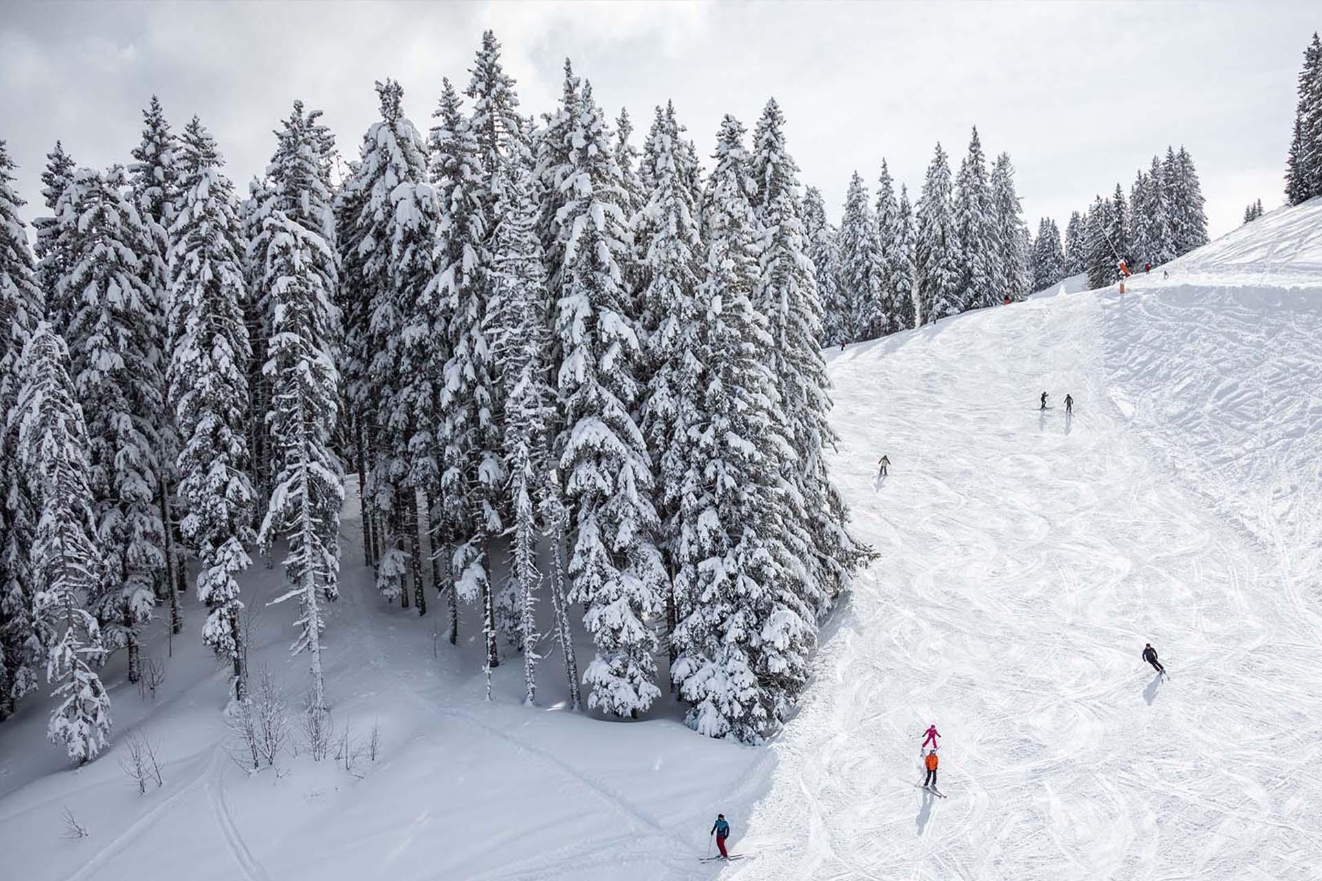 Tbilisi: Borjomi & Bakuiriani ski resort