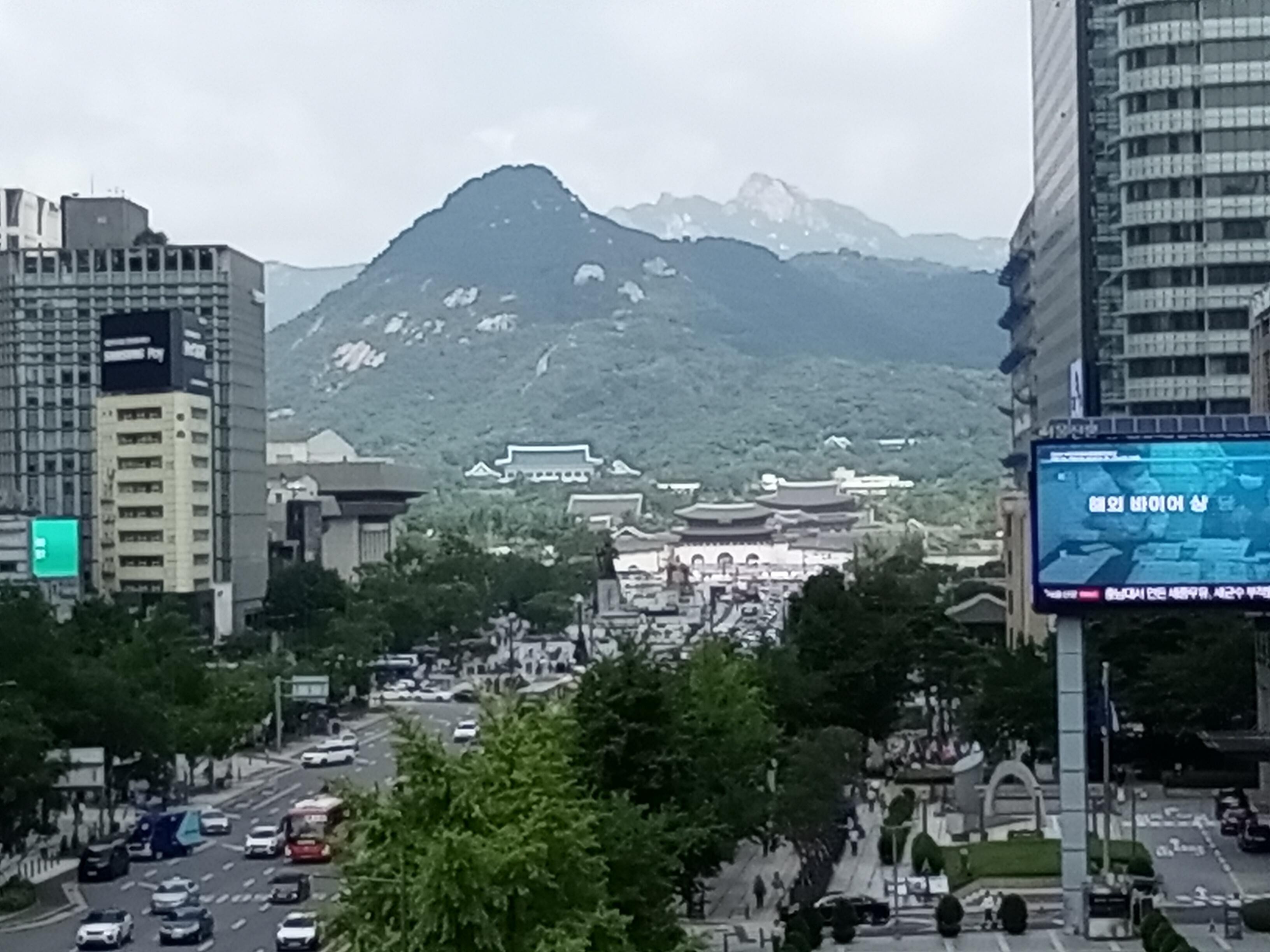 Seoul: Half-Day Guided Walking Tour with Palace Entry 3