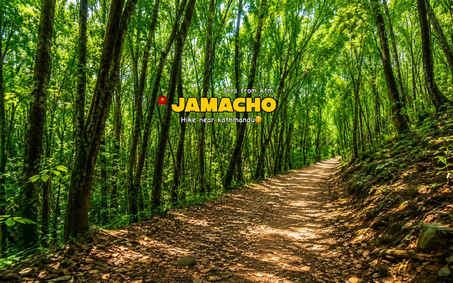 Kathmandu: Jamacho Monastery Hike in Shivapuri Park 2