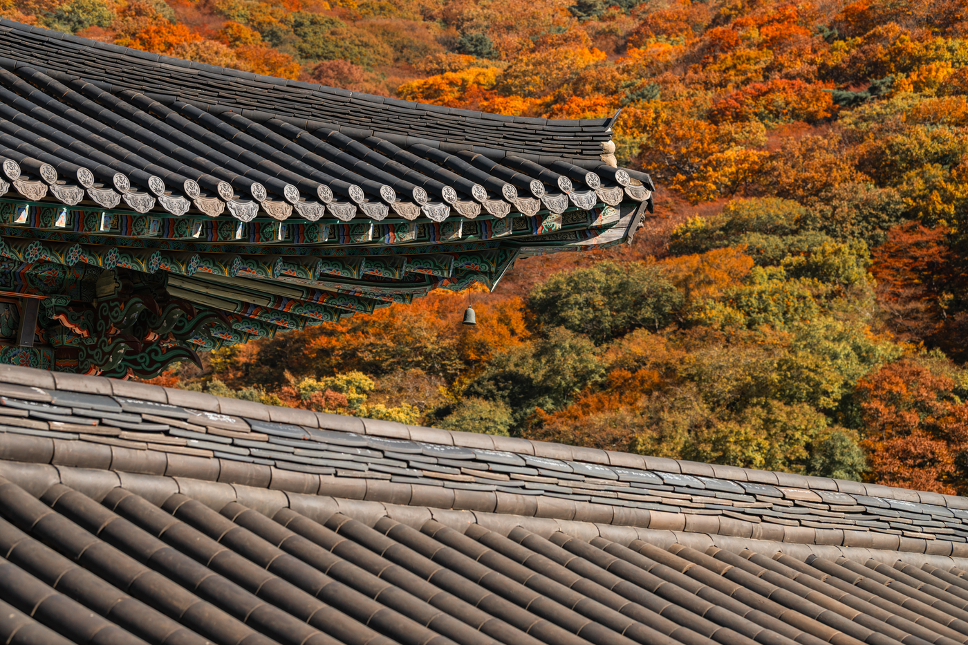 Busan: Private Van Tour of Hidden Gems, Food & Cafe Spots 3