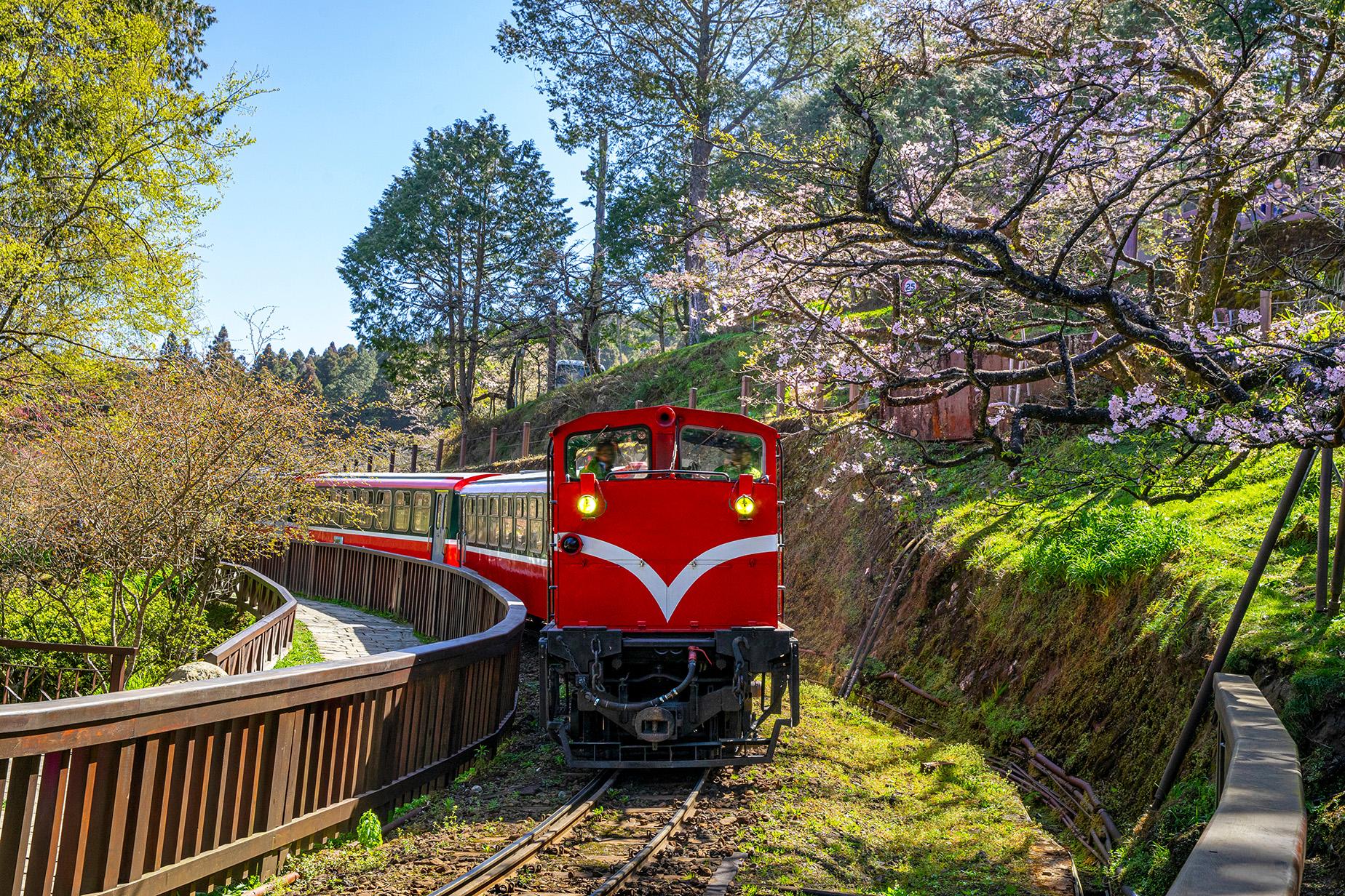 From Taipei: Alishan 2 Days Private Tour