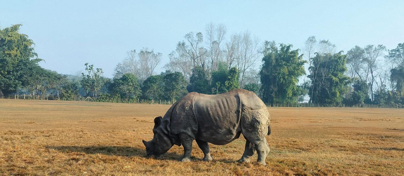 From Kathmandu: 4-Day Chitwan National Park & Chitlang Tour