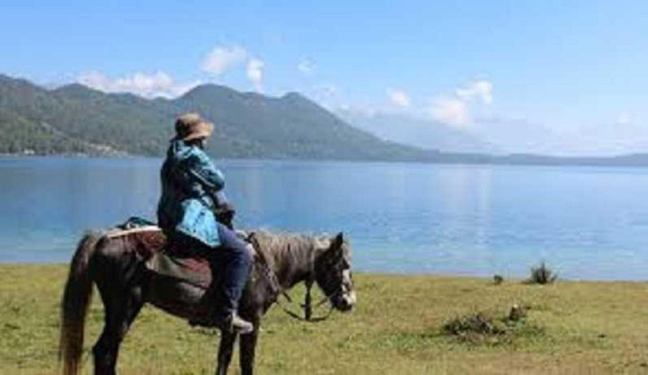 Pokhara: 1-Hour Horseback Ride with Hotel Pickup 3