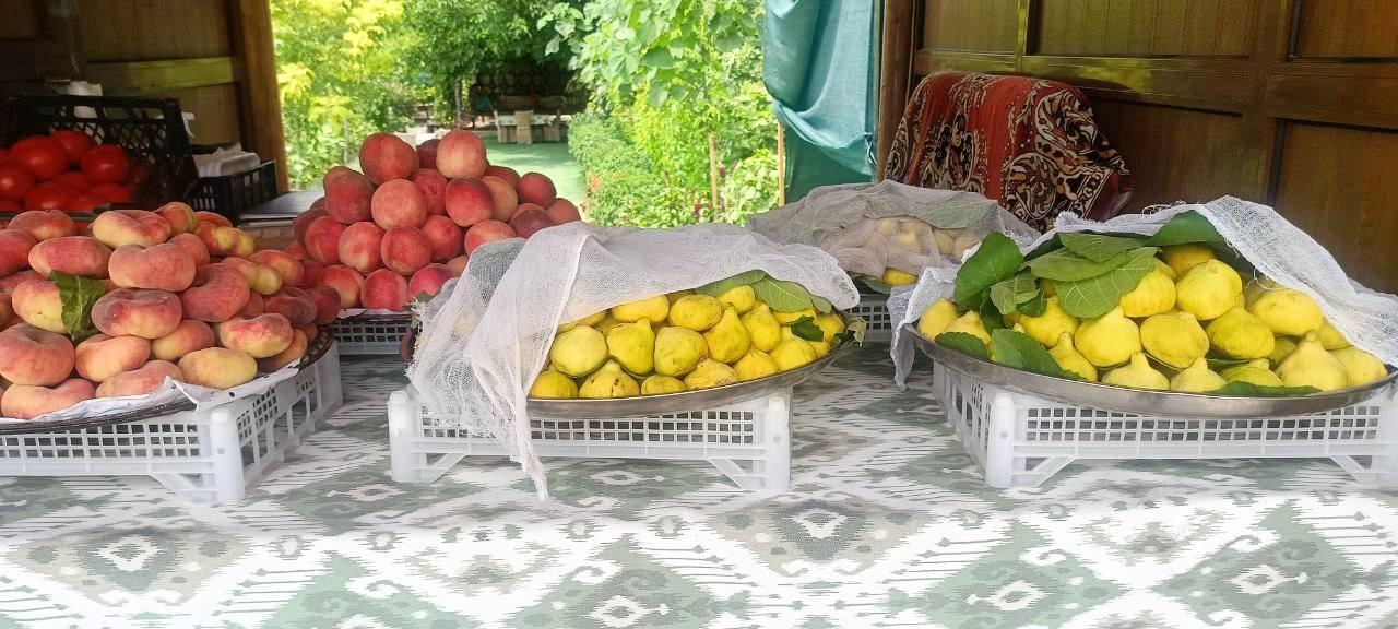Samarkand Plov Cooking Masterclass in Tamerlane's Garden 2