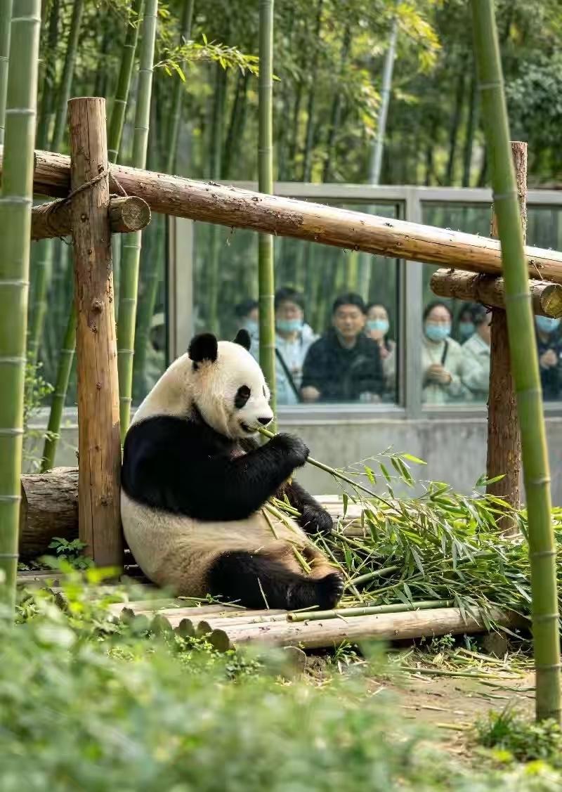 Shanghai: Ecological & Nature Photography Day Tour 2
