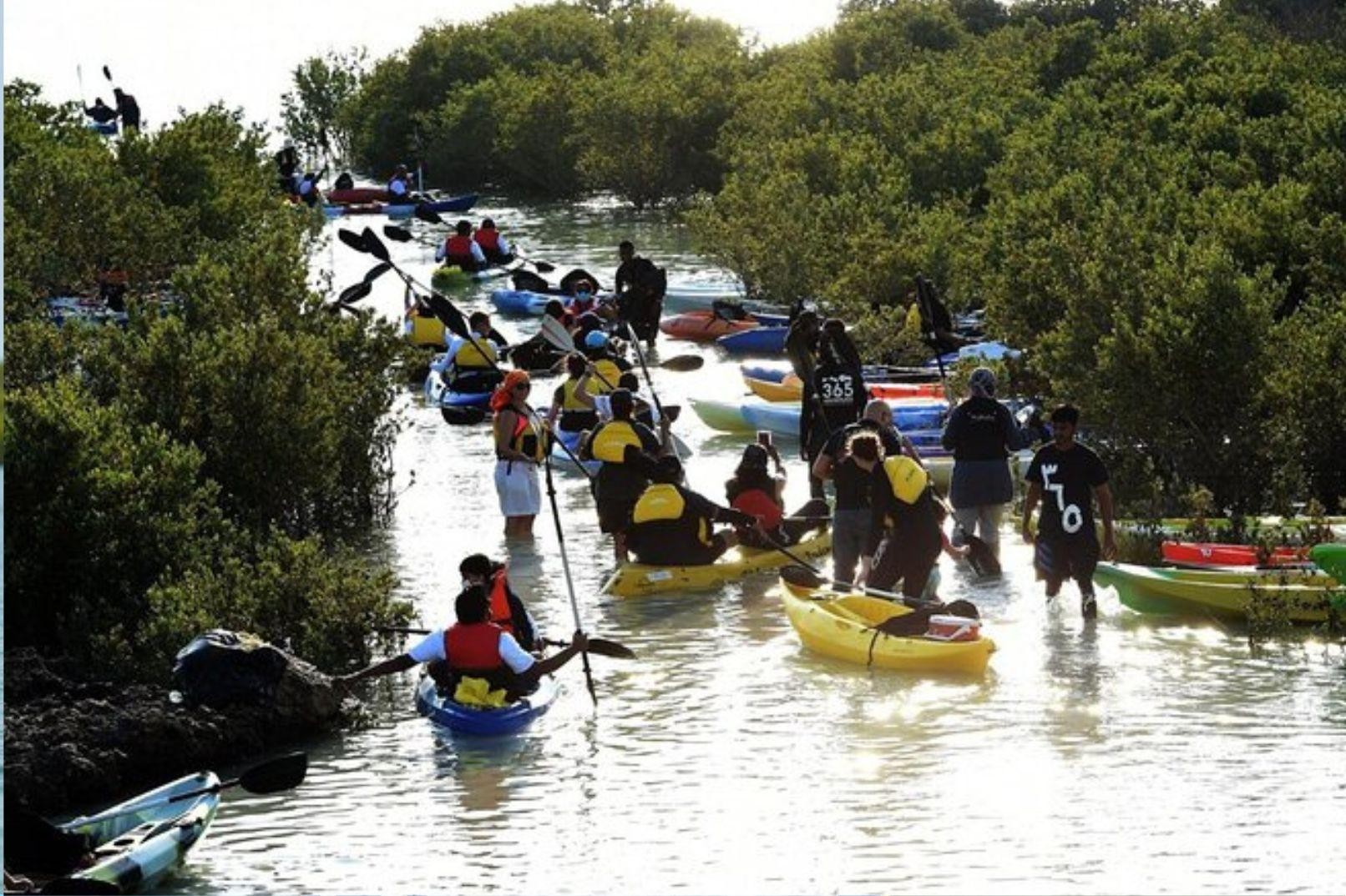 Al Thakira: Mangrove Forest Guided Kayaking Tour