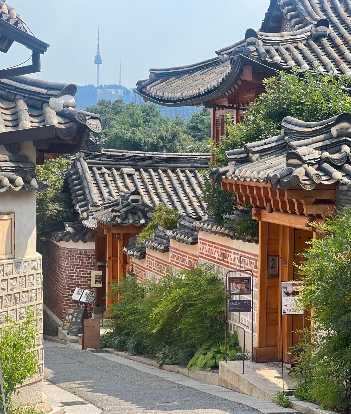 Seoul:Small Group Tour, Hanbok Rental&Palace【CHINESE Driver】 3