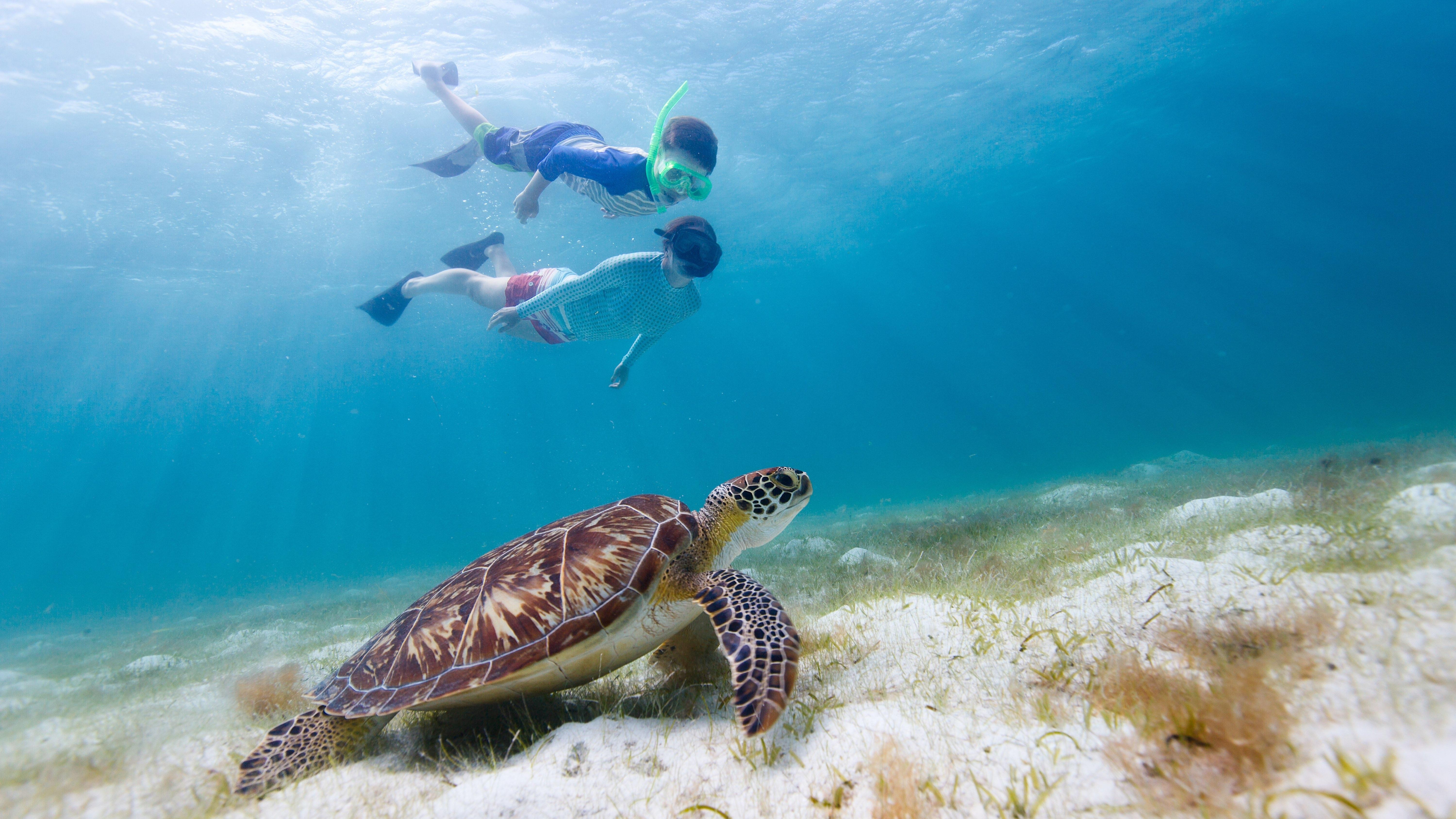 Daymaniyat Islands: Turtle Snorkeling & Boat Trip 2