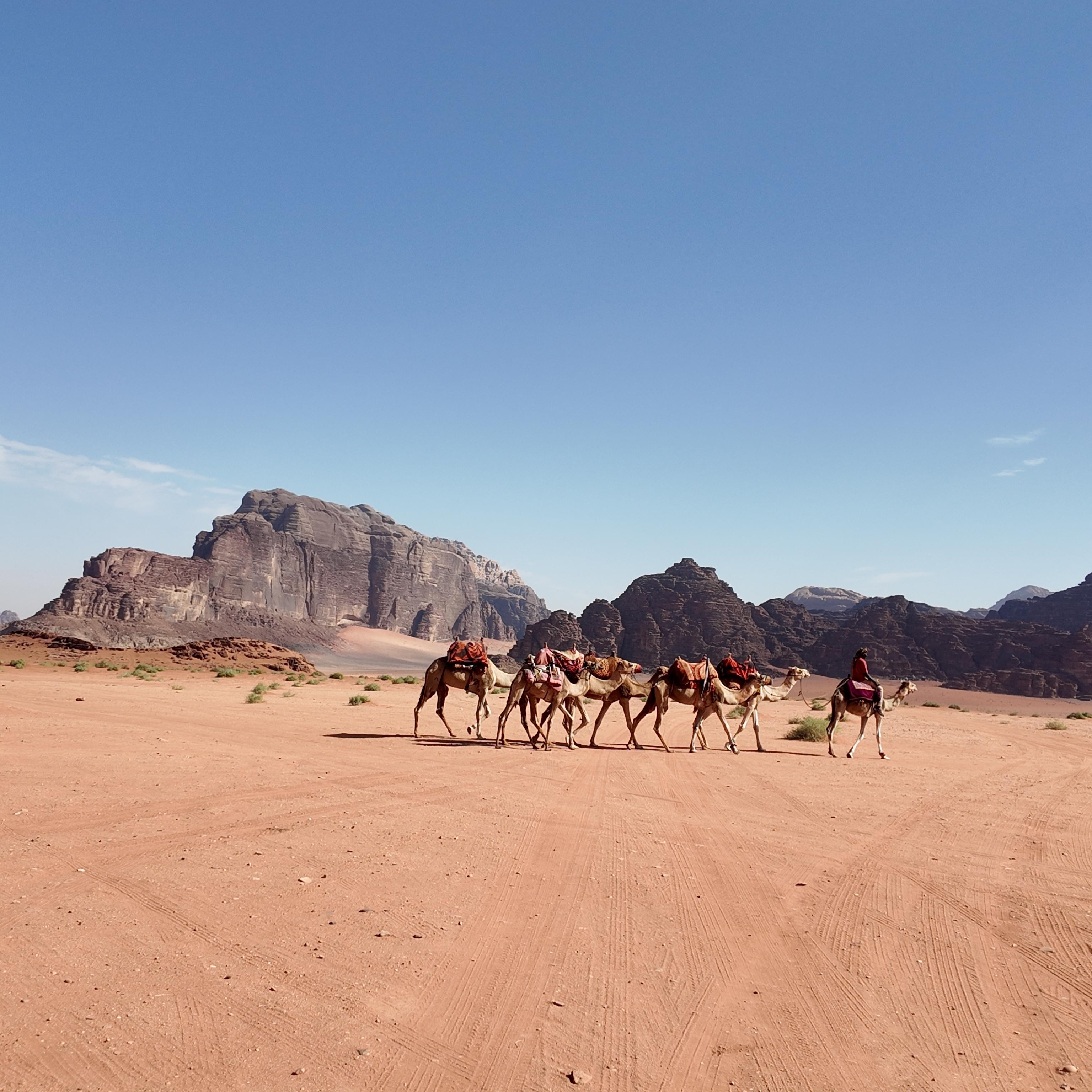 Wadi Rum: Full-Day Jeep Tour, Long Hike & Desert Overnight 3
