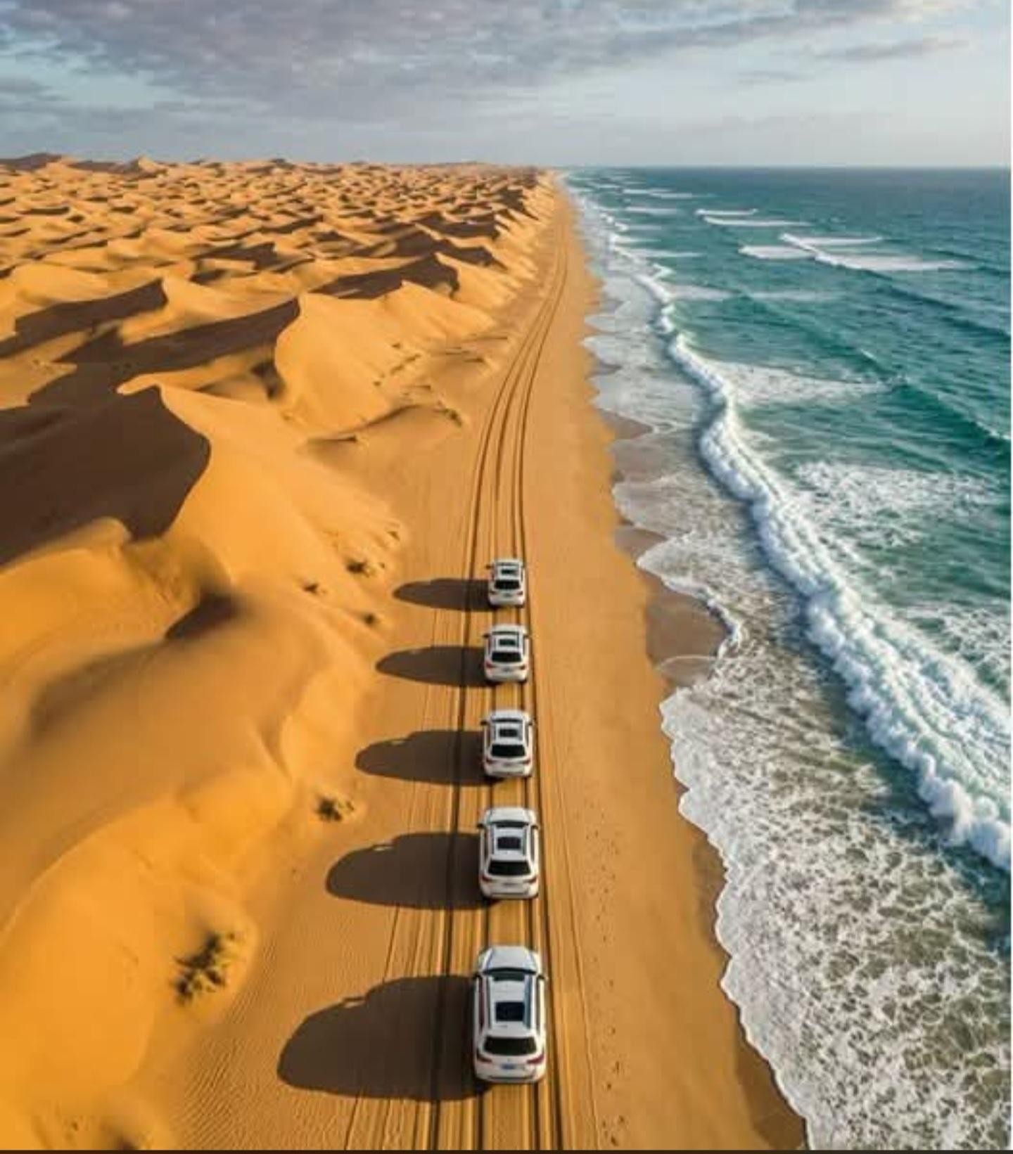 Doha Qatar : sealine adventure Camel Ride sandboard Sunset