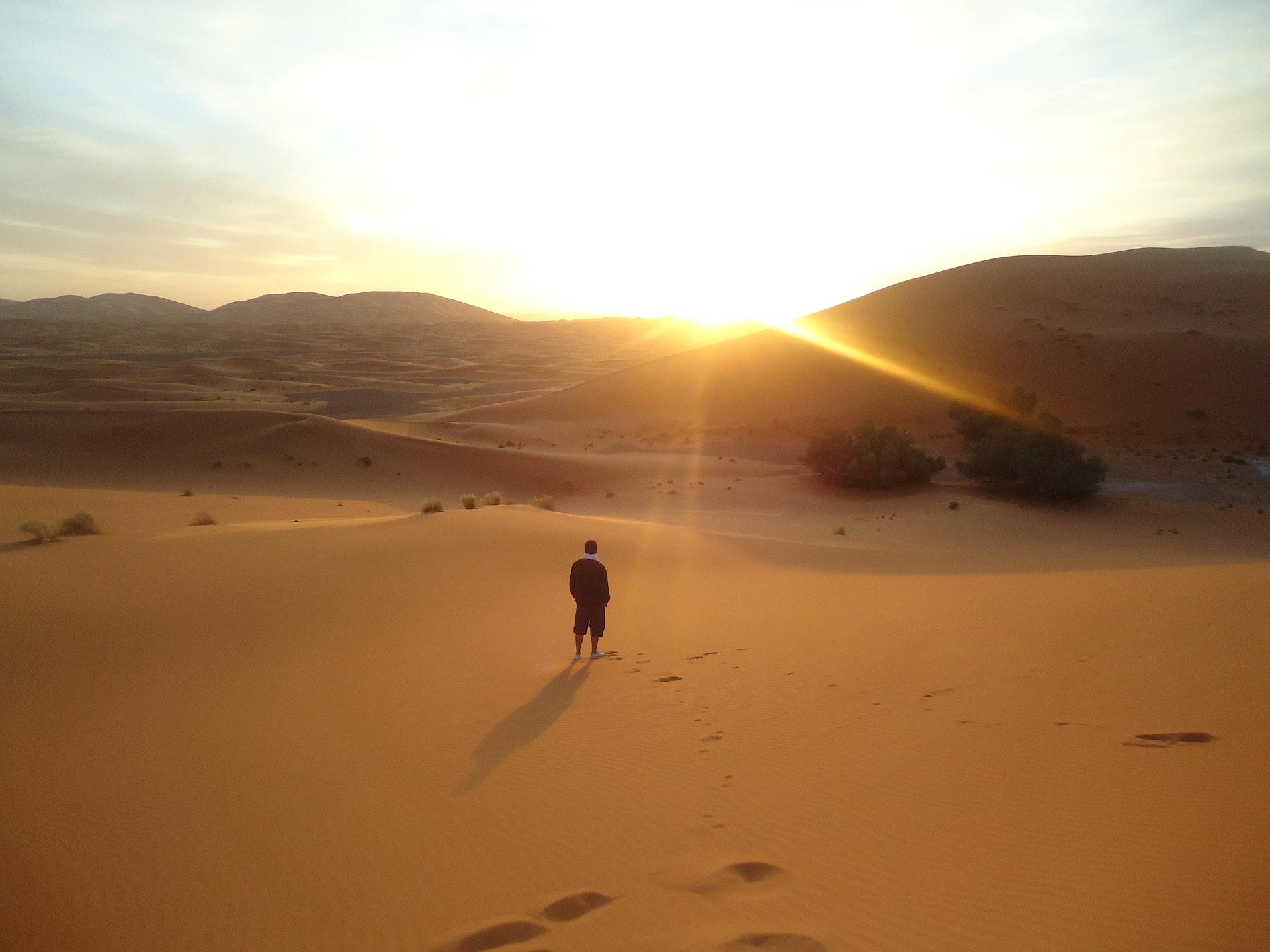 Doha: Sunrise or Sunset Desert Safari Tour with Sandboarding 2