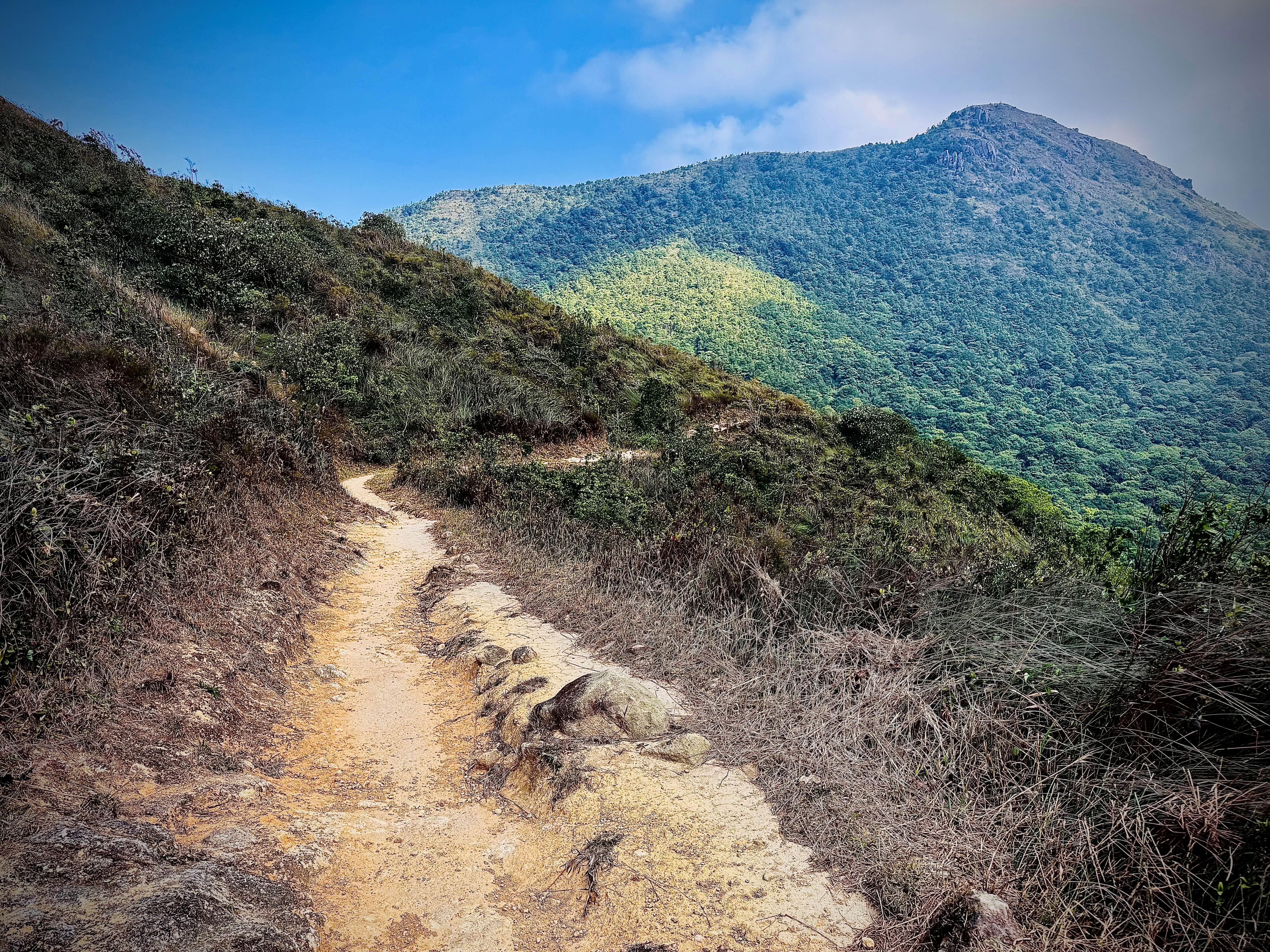 Ma On Shan Ridge & Hunchbacks Advanced Hike (Full Day) 2