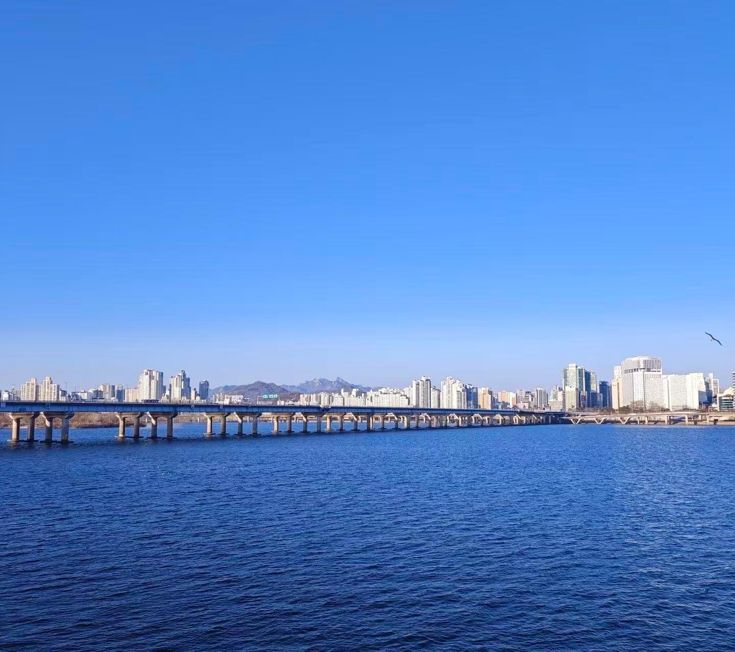 Seoul: Small Group Trendy Tour Hongdae &COEX【CHINESE Driver】