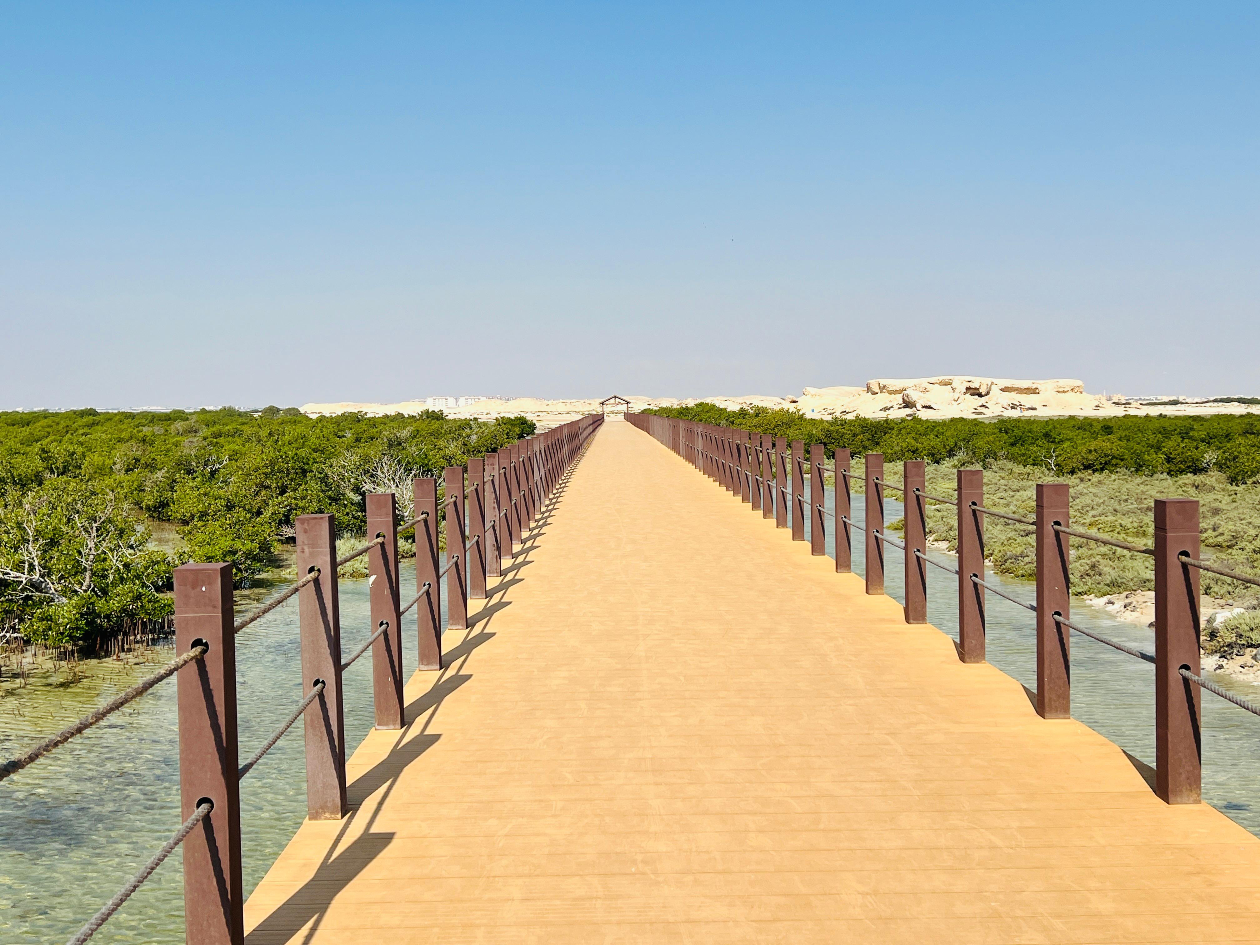From Doha: Al Zubarah Fort Tour via Al Khor & Purple Island 2