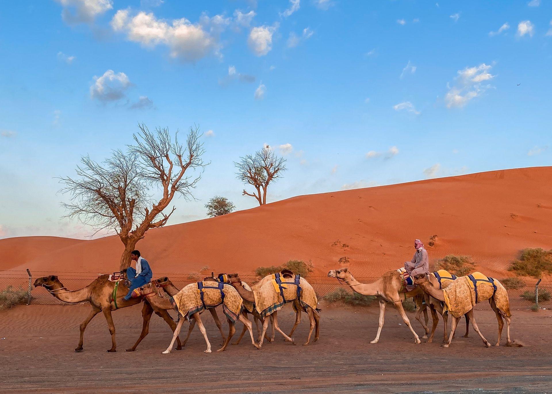Muscat: Private Bedouin Cultural Evening in Wahiba 3
