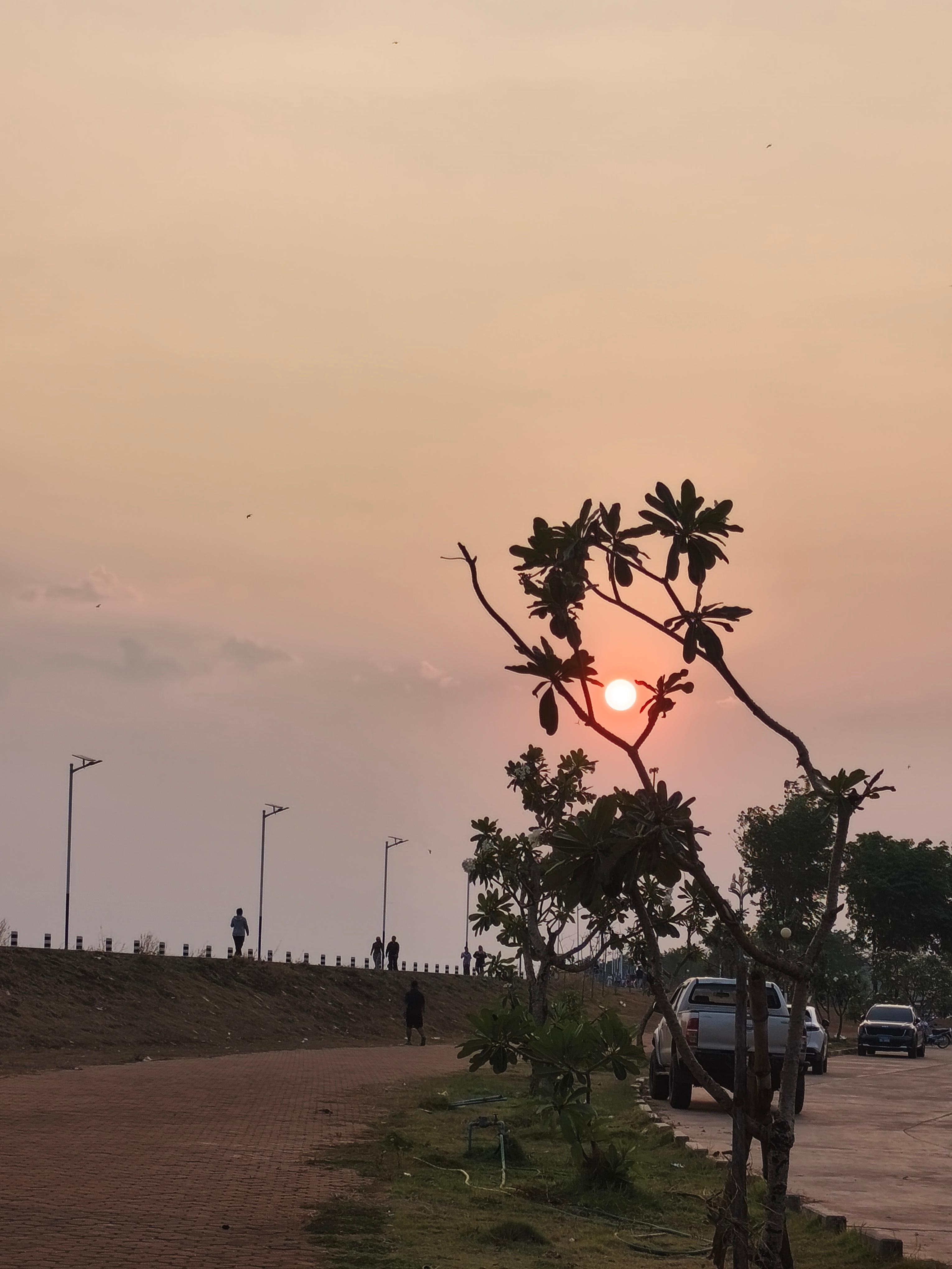 Pakse: Immersive tasting of 5 (fair-trade organic) coffees from the Bolaven Plateau 3