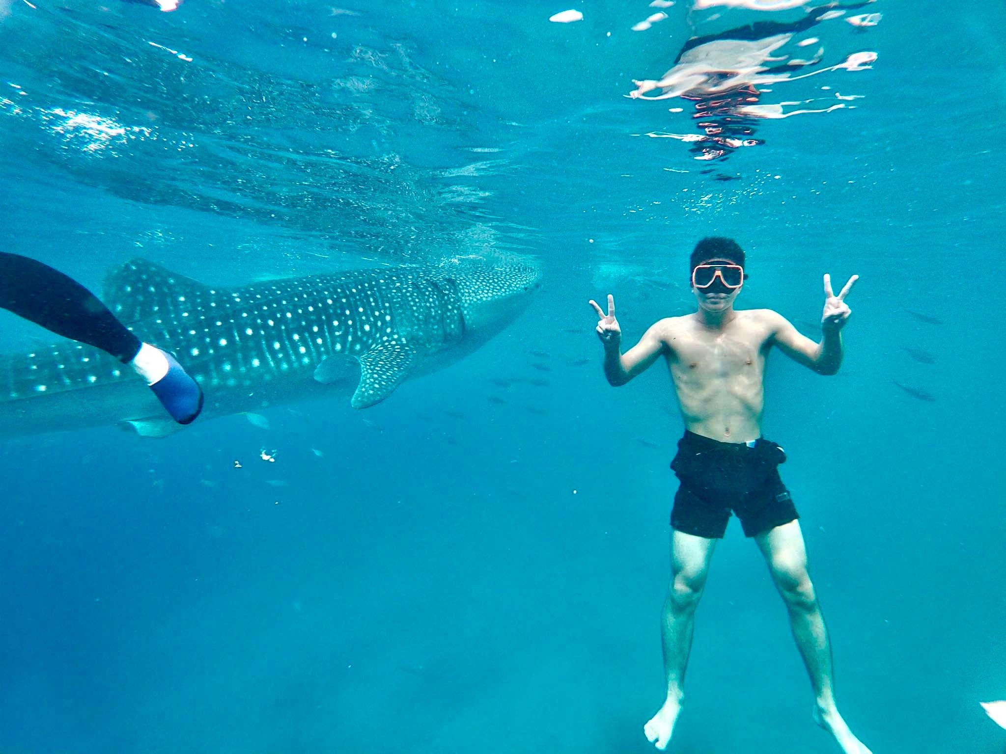 Oslob: Whale Shark Direct, a Private Swimming Tour
