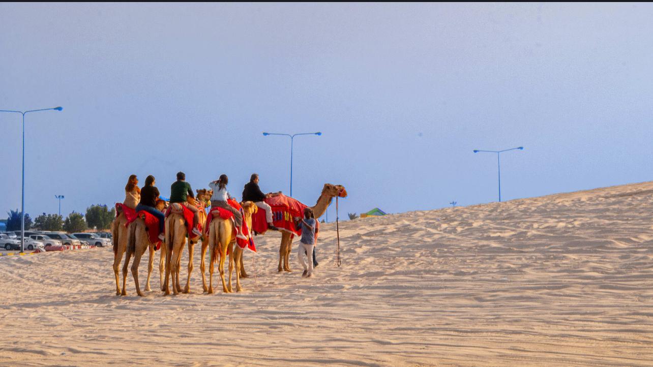 Doha: Premium Half-Day Desert Safari Camel Ride & Inland Sea 3
