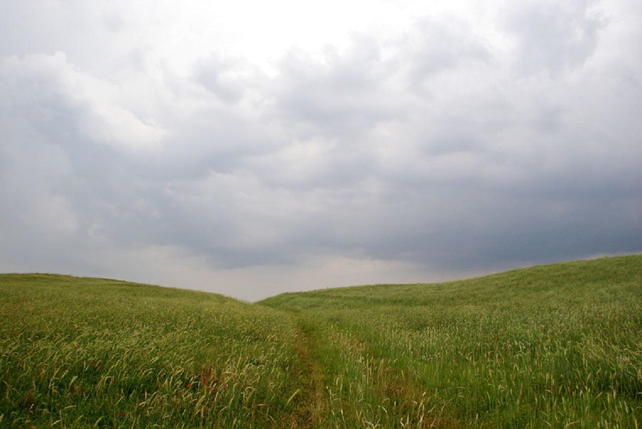 Windows Desktop Theme - Poppy Fields from Tashkent 3