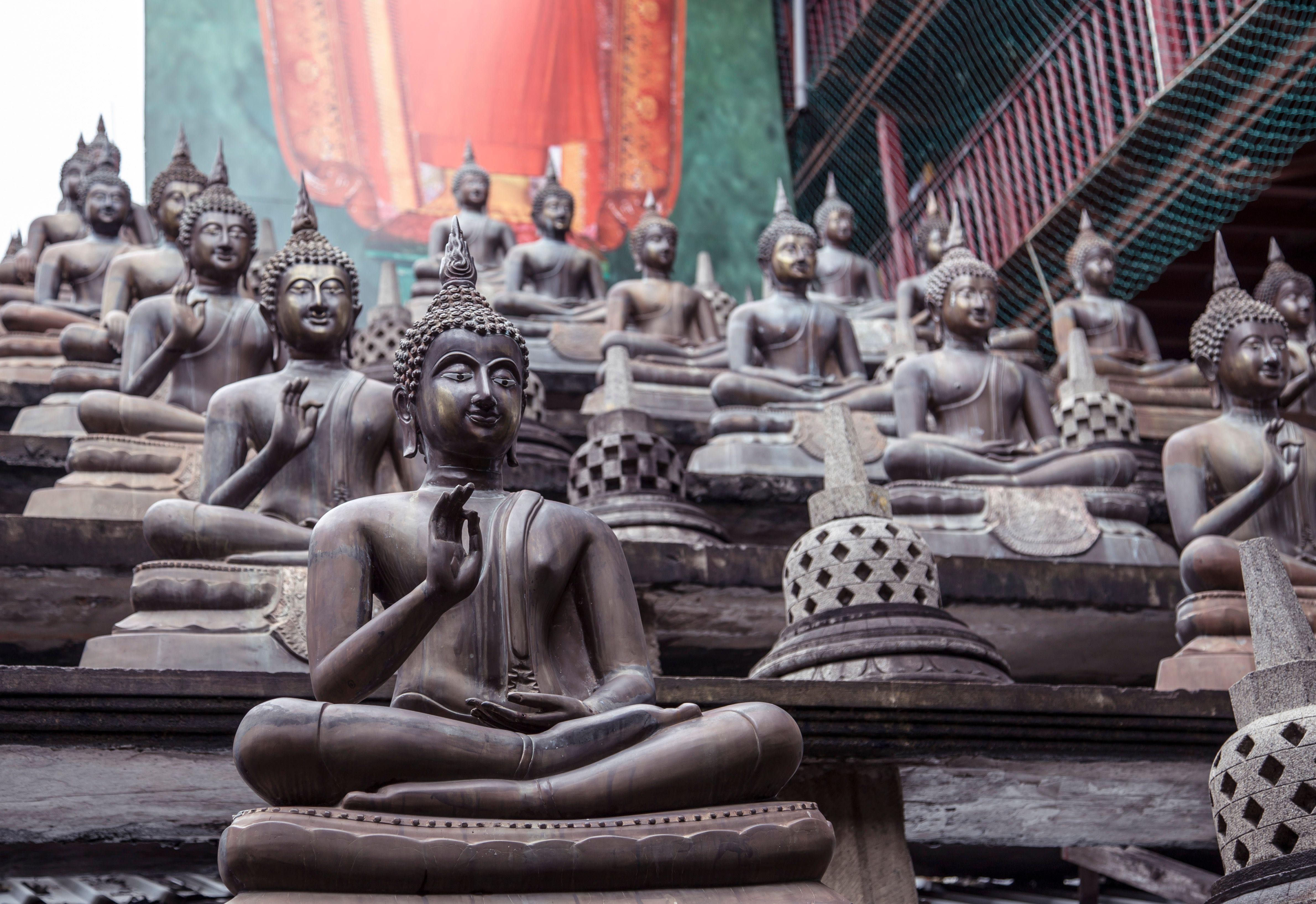 5-Day Sri Lanka Private Tour with Hotels & Transport 3