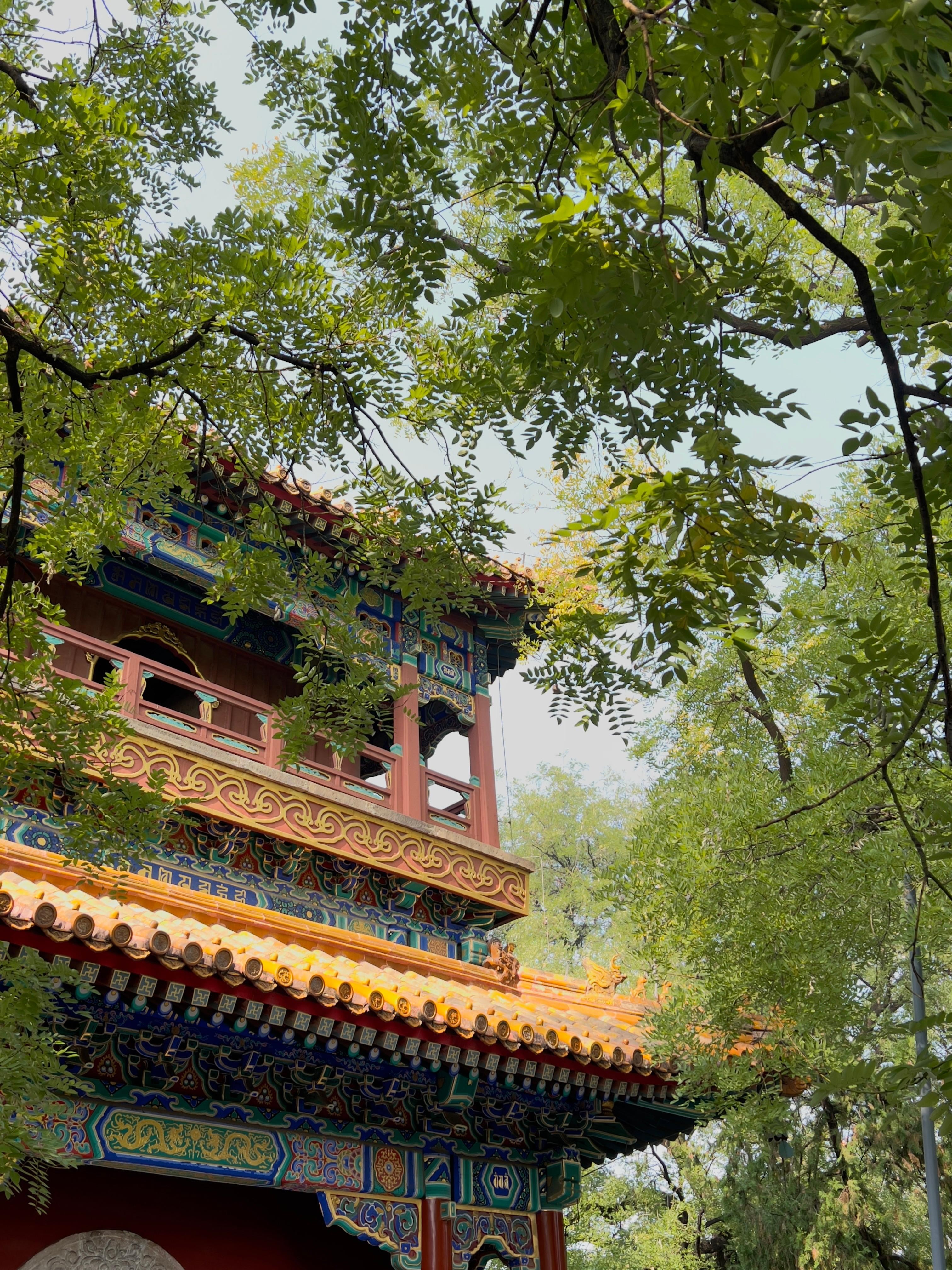 Lama Temple Tour with Tickets: Beijing's Hidden Sacred World 2
