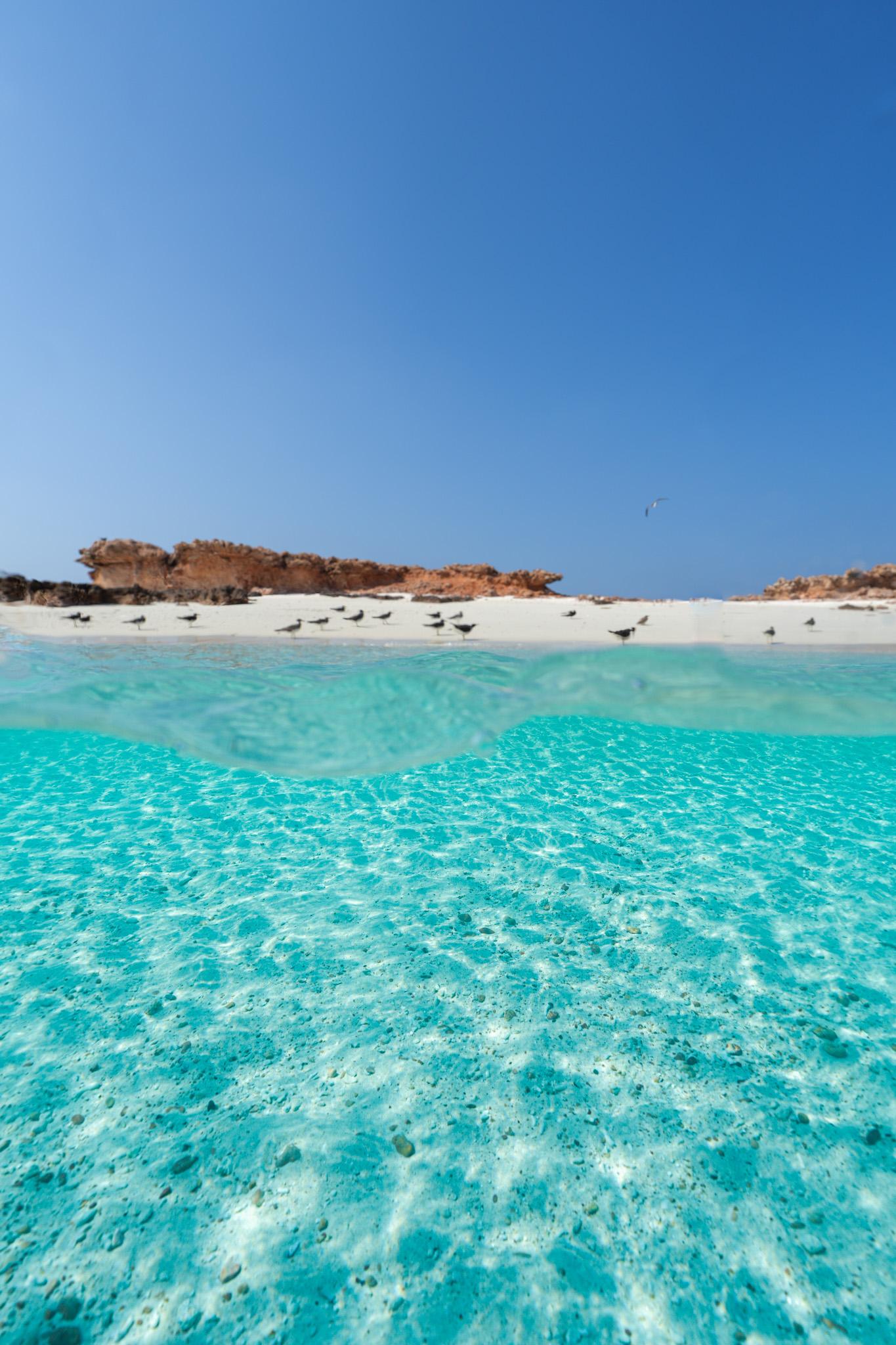 Muscat: Unforgettable Private Daymaniyat Boat Experience 3