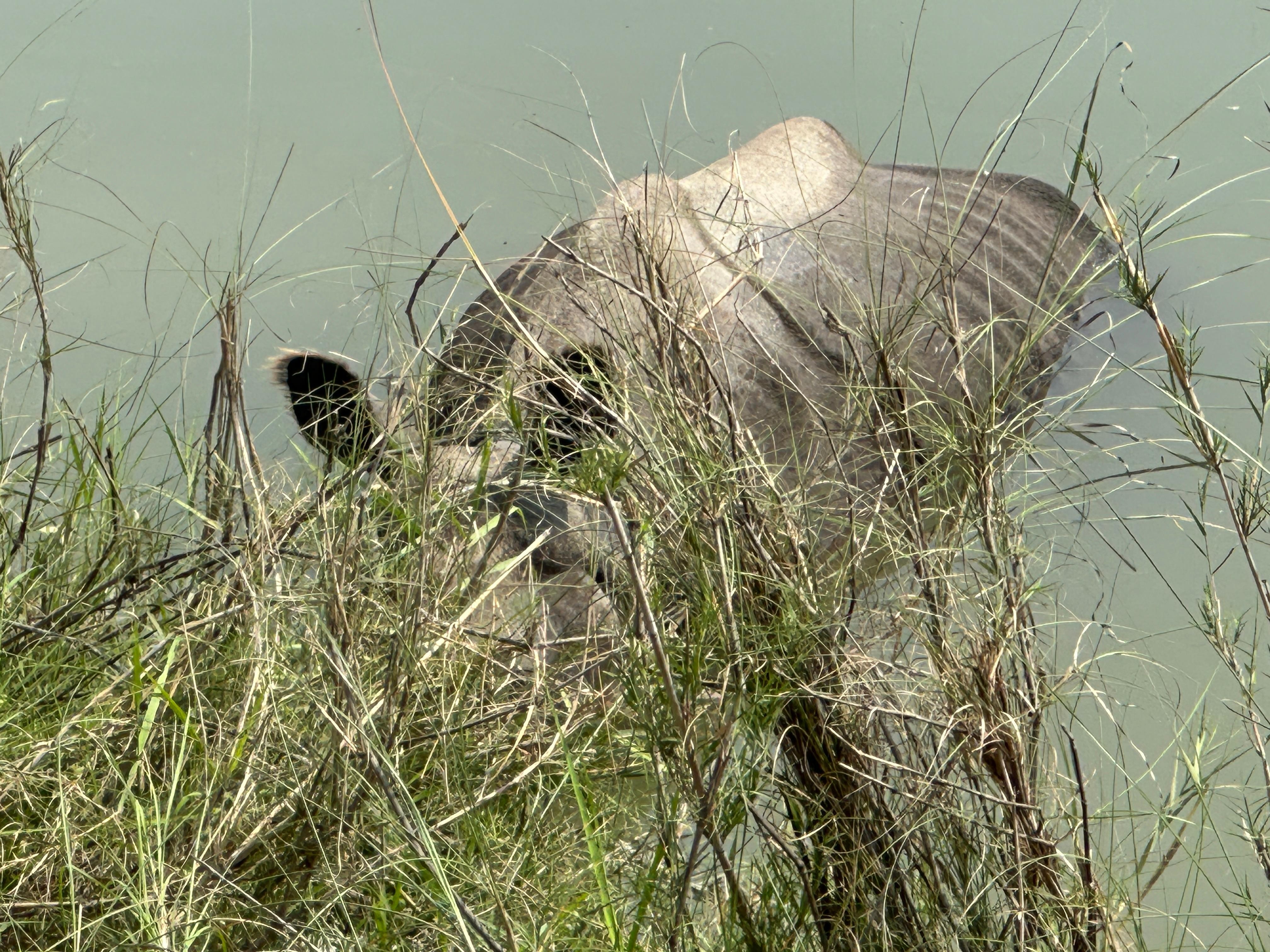 Chitwan Jungle Safari 3 Days- From Kathmandu or Pokhara 3