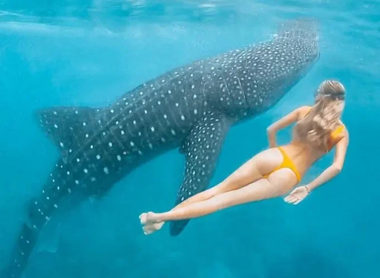Malé: Discover South Ari Atoll - Full Day Tour from Malé 2