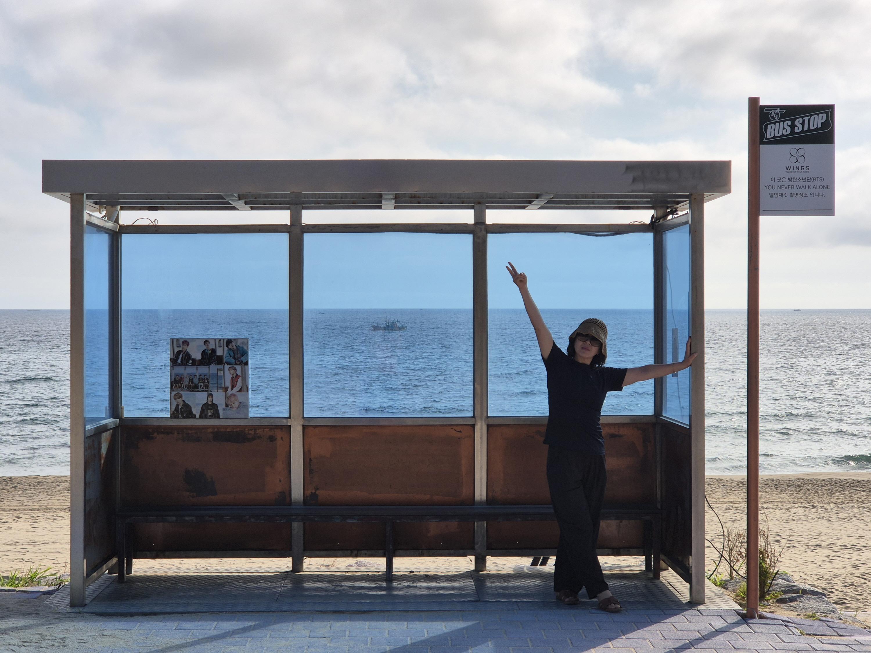 From Seoul: Daegwallyeong Ranch & BTS Bus Stop Private Tour 2
